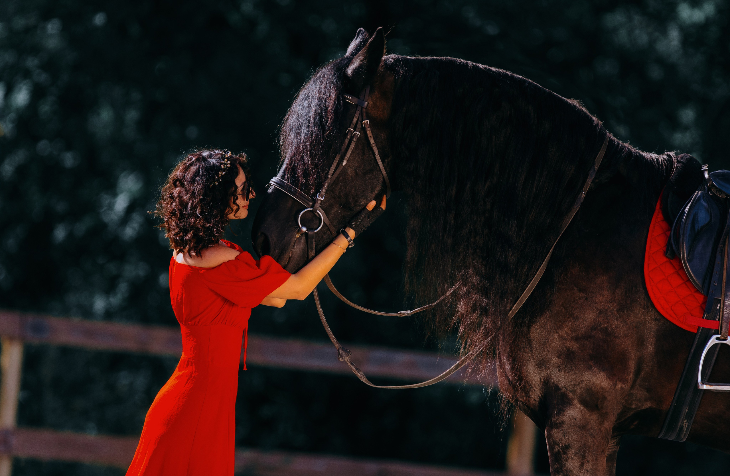 Наира и Тимоти. Фотограф-анималист Ксендзова Кристина