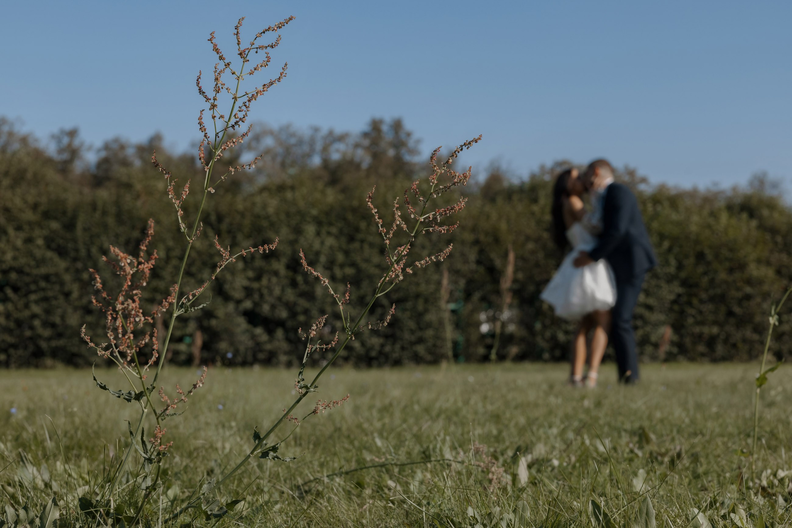 Даниил и Яна. Свадебный фотограф и видеограф Юрий и Эля Дубинины