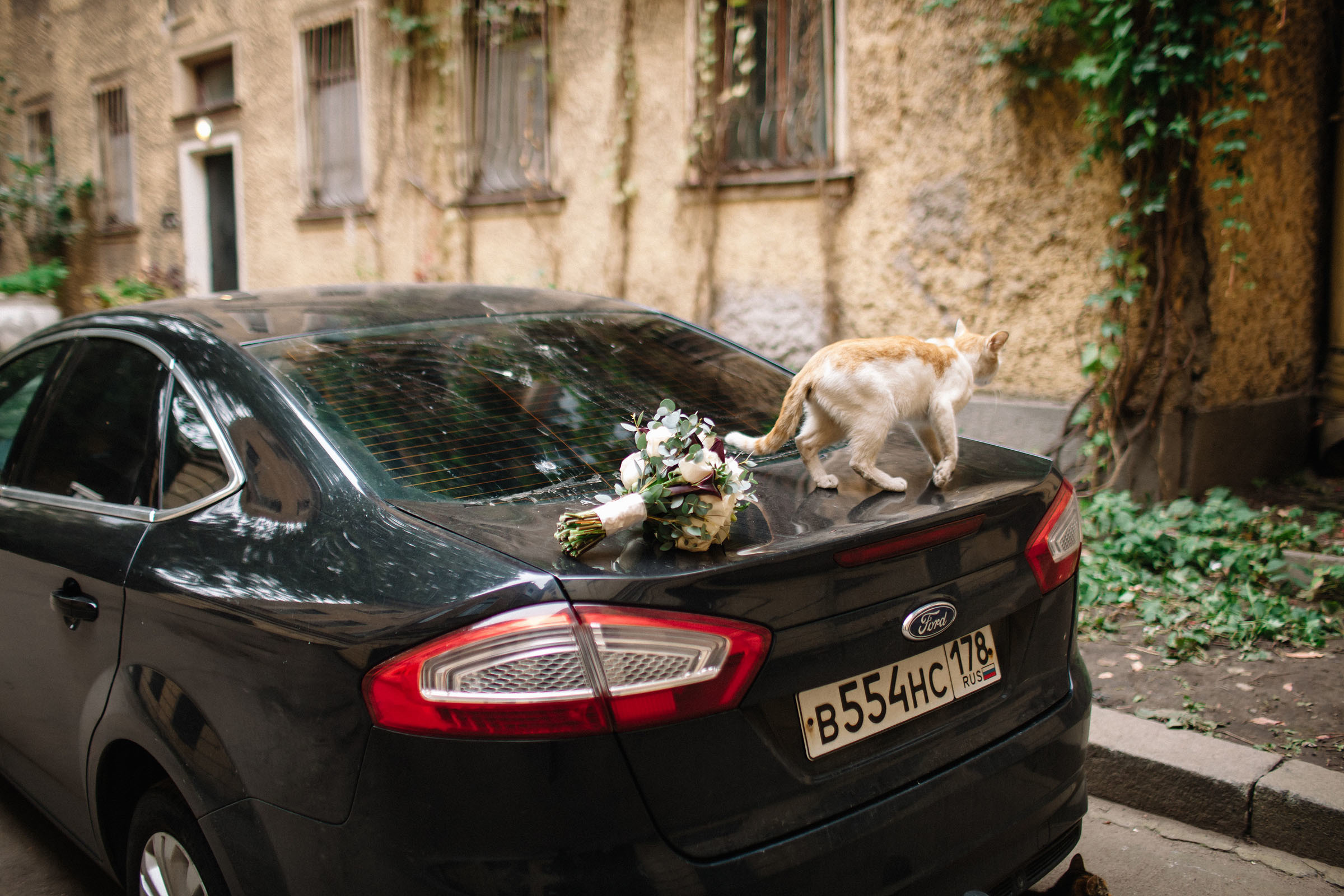Даниил и Мария. Семейный и свадебный фотограф в Майкопе Михаил Мартиросян