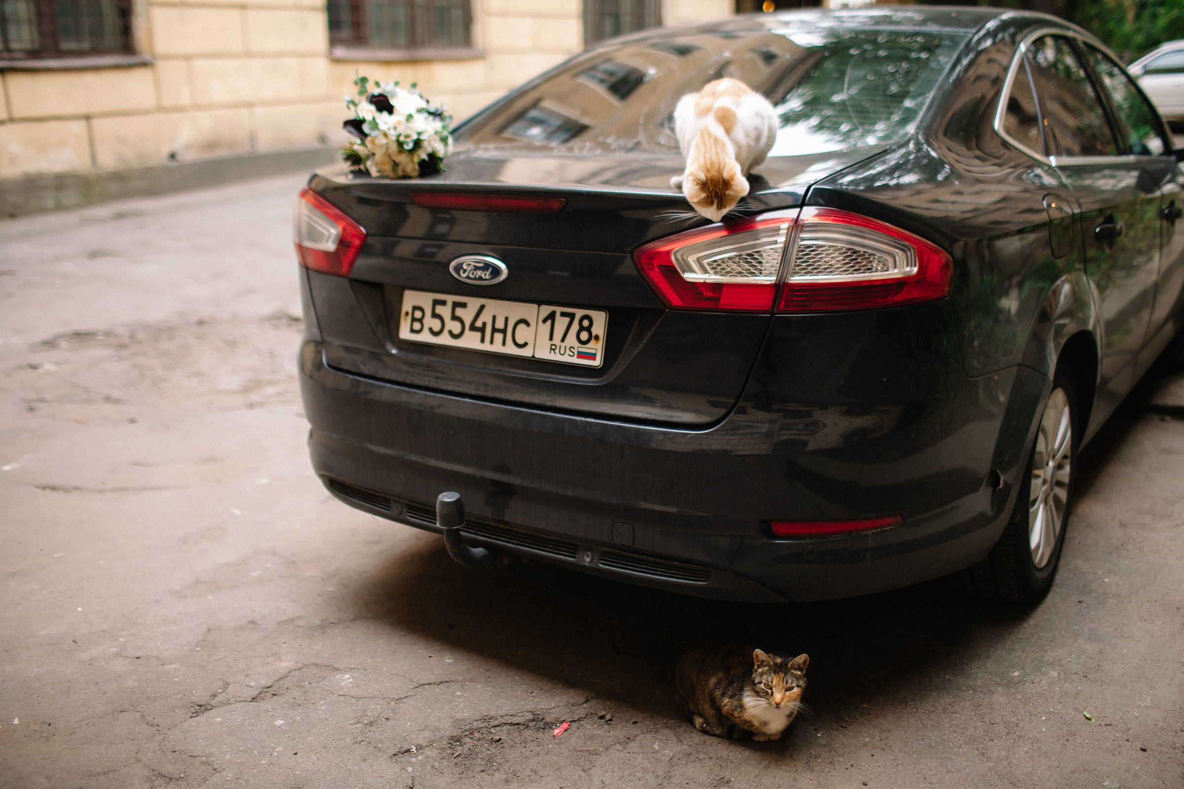 Даниил и Мария. Семейный и свадебный фотограф в Майкопе Михаил Мартиросян