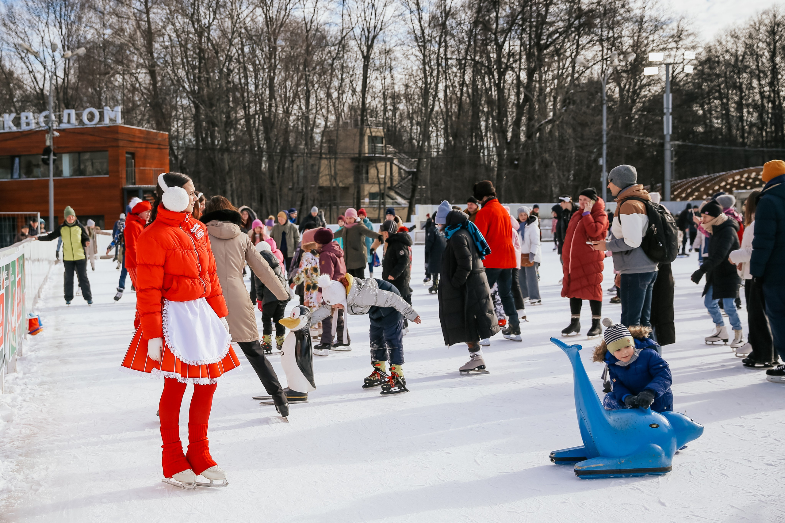 Ледовое шоу Сокольники Московское Чаепитие. Фотограф и видеограф Анна Домашенко