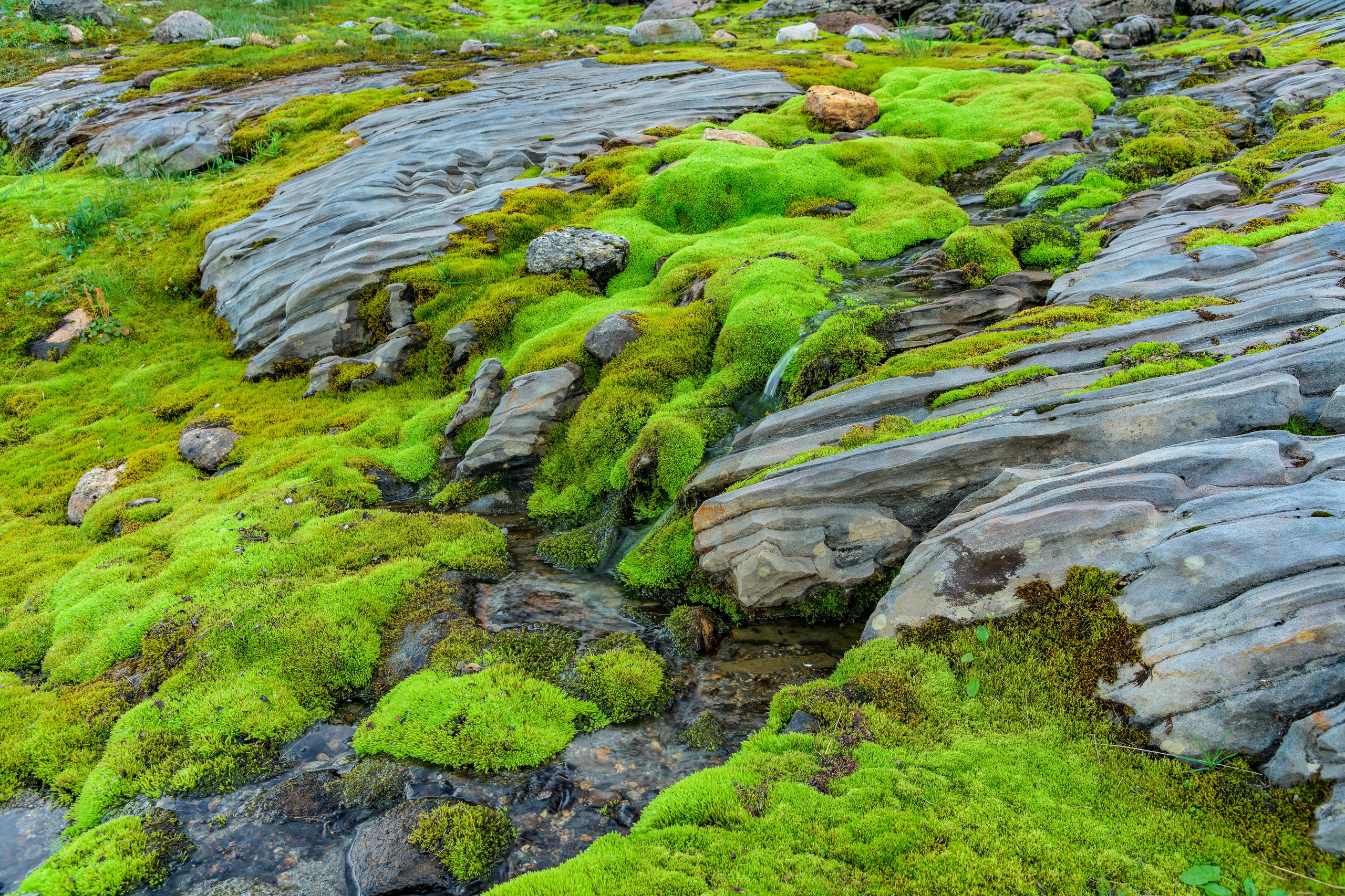 Норвегия. Северные Ночи