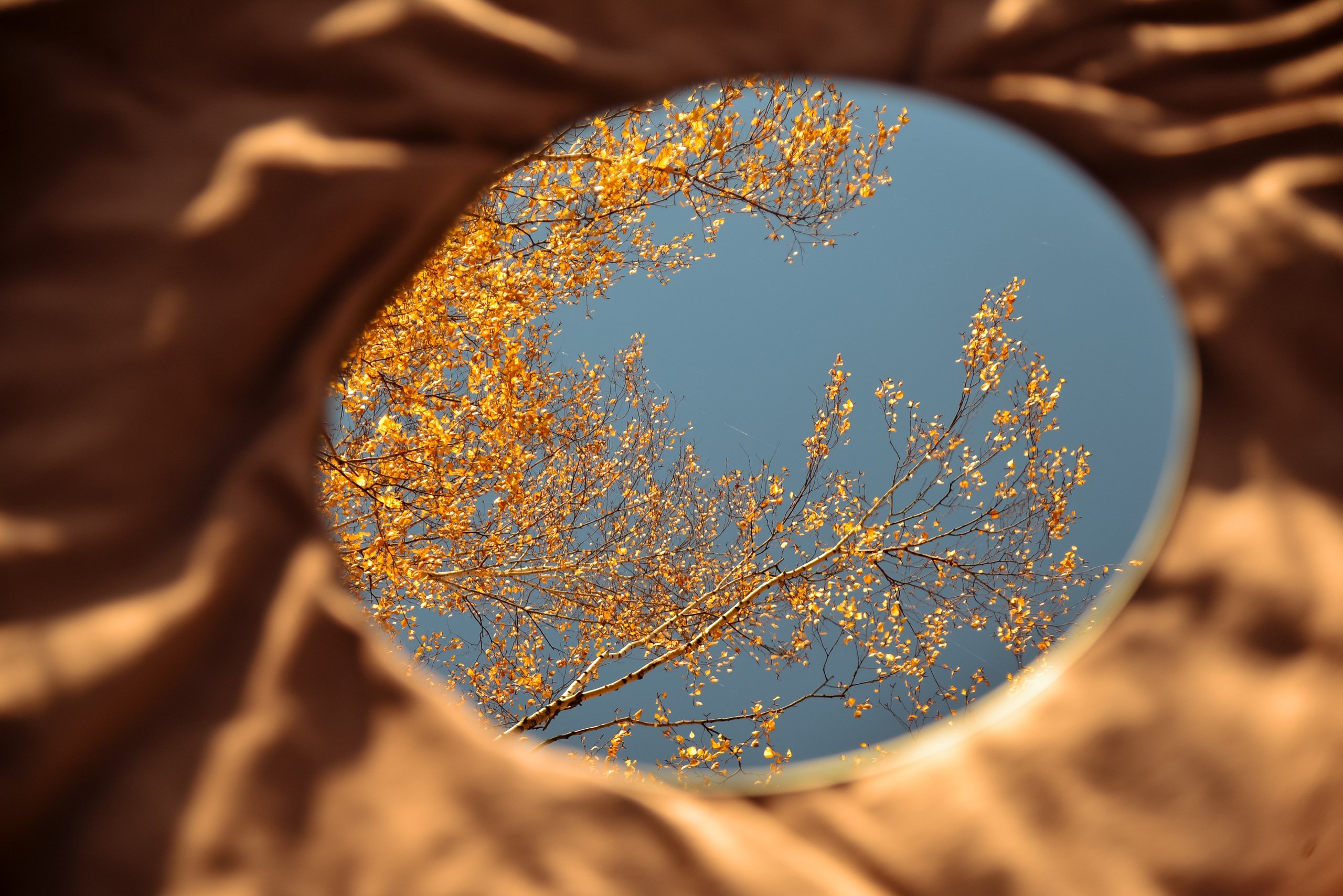 Розовая свадьба 10 лет. Фотограф Олег Юршевич Солигорск Минск
