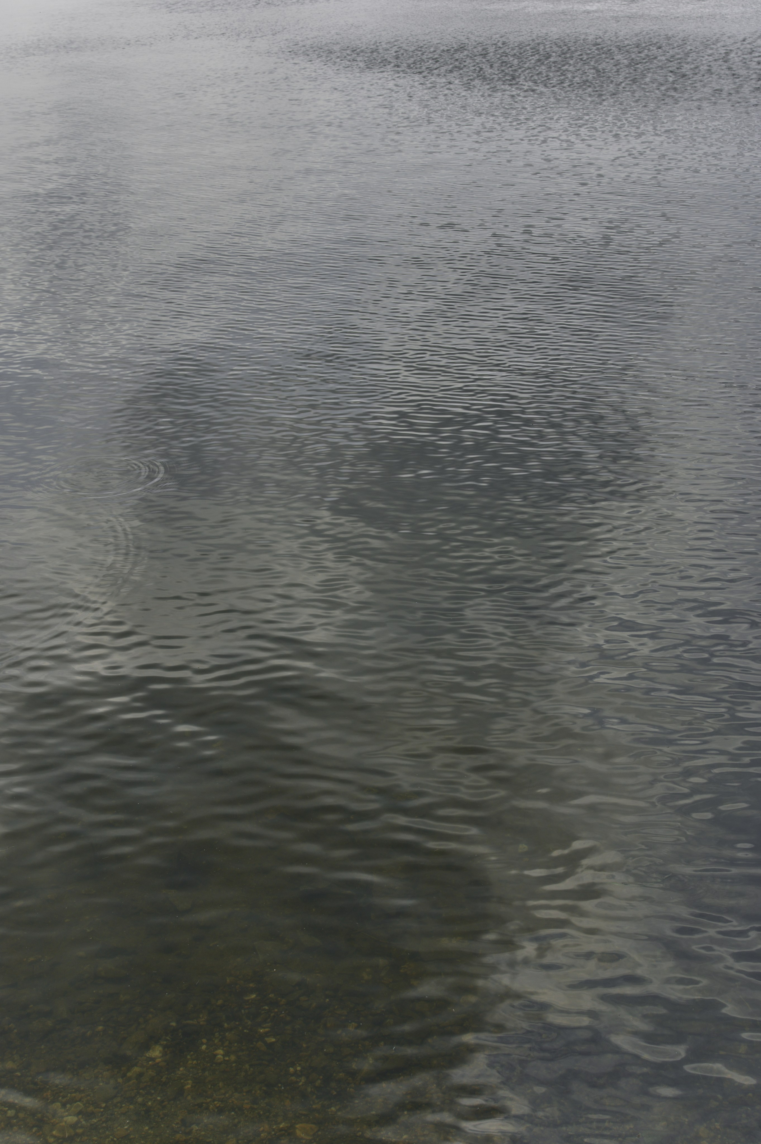 Ярослав и Карина. Фотограф Челябинск — Кирилл Устюжанин