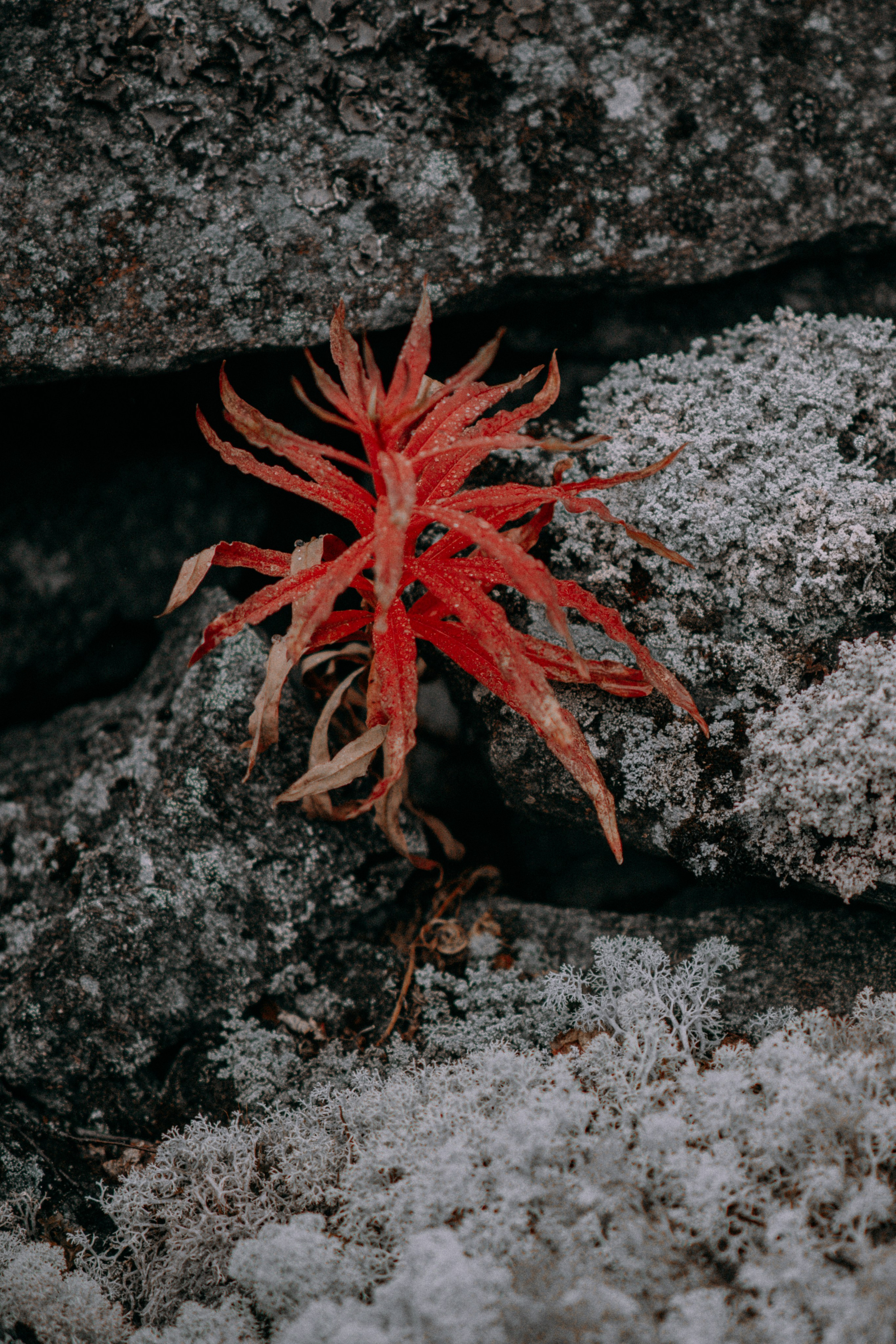 EXHIBITION. Репортажный и интерьерный фотограф, фотохудожник