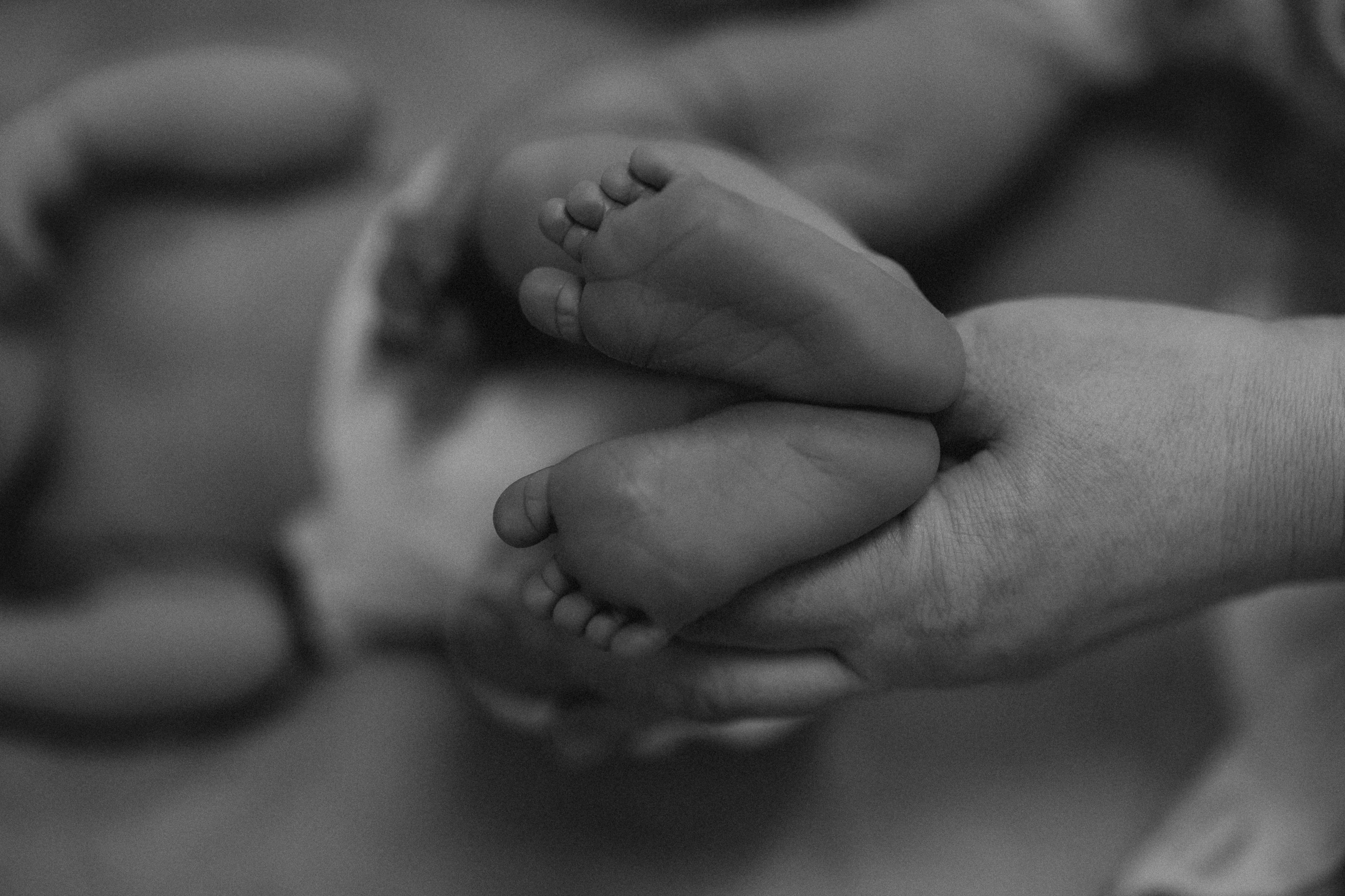 Рождение Владимира. Евгения Пелипас