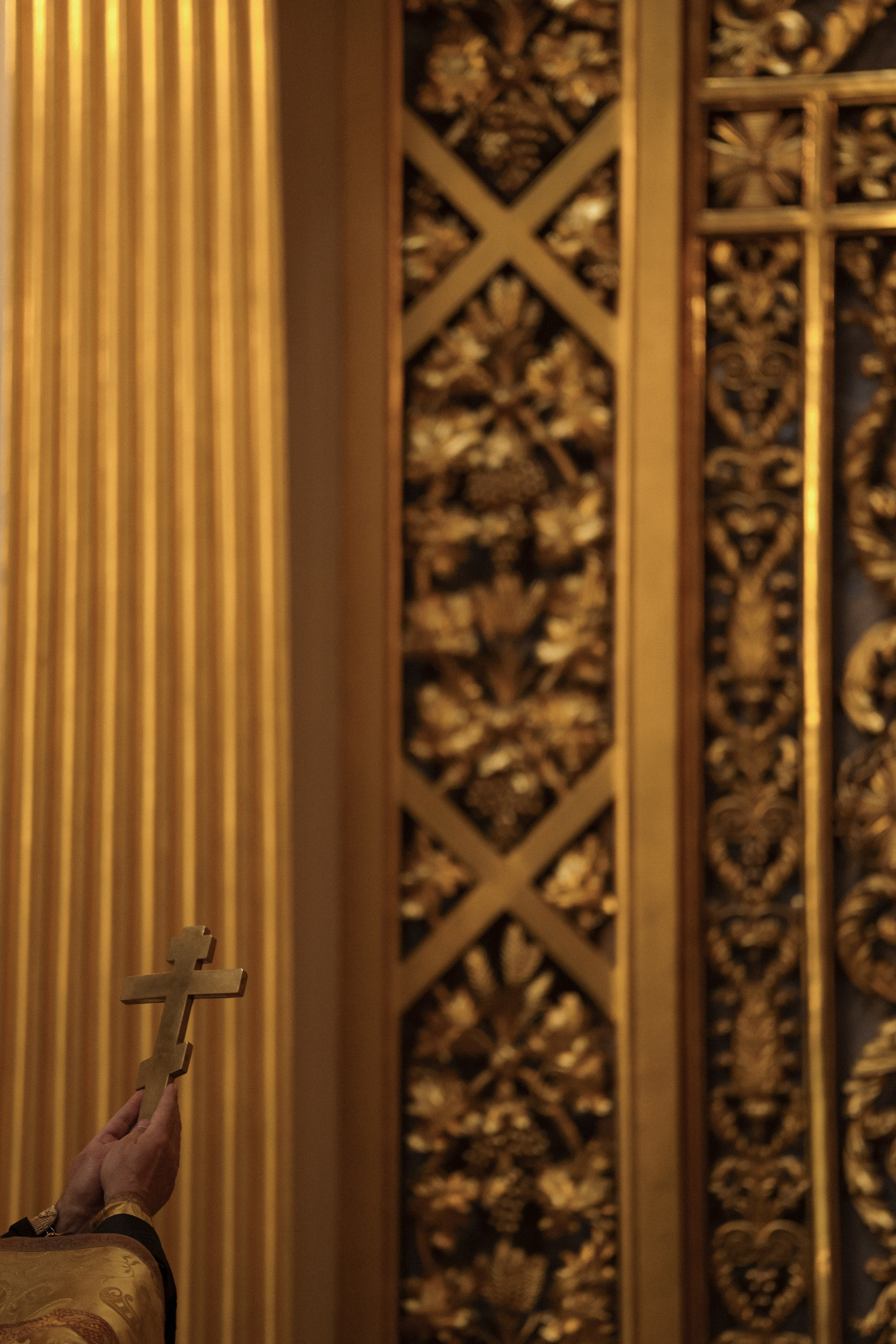 Июнь в Зените. Фотограф в Санкт-Петербурге Александр Дымов