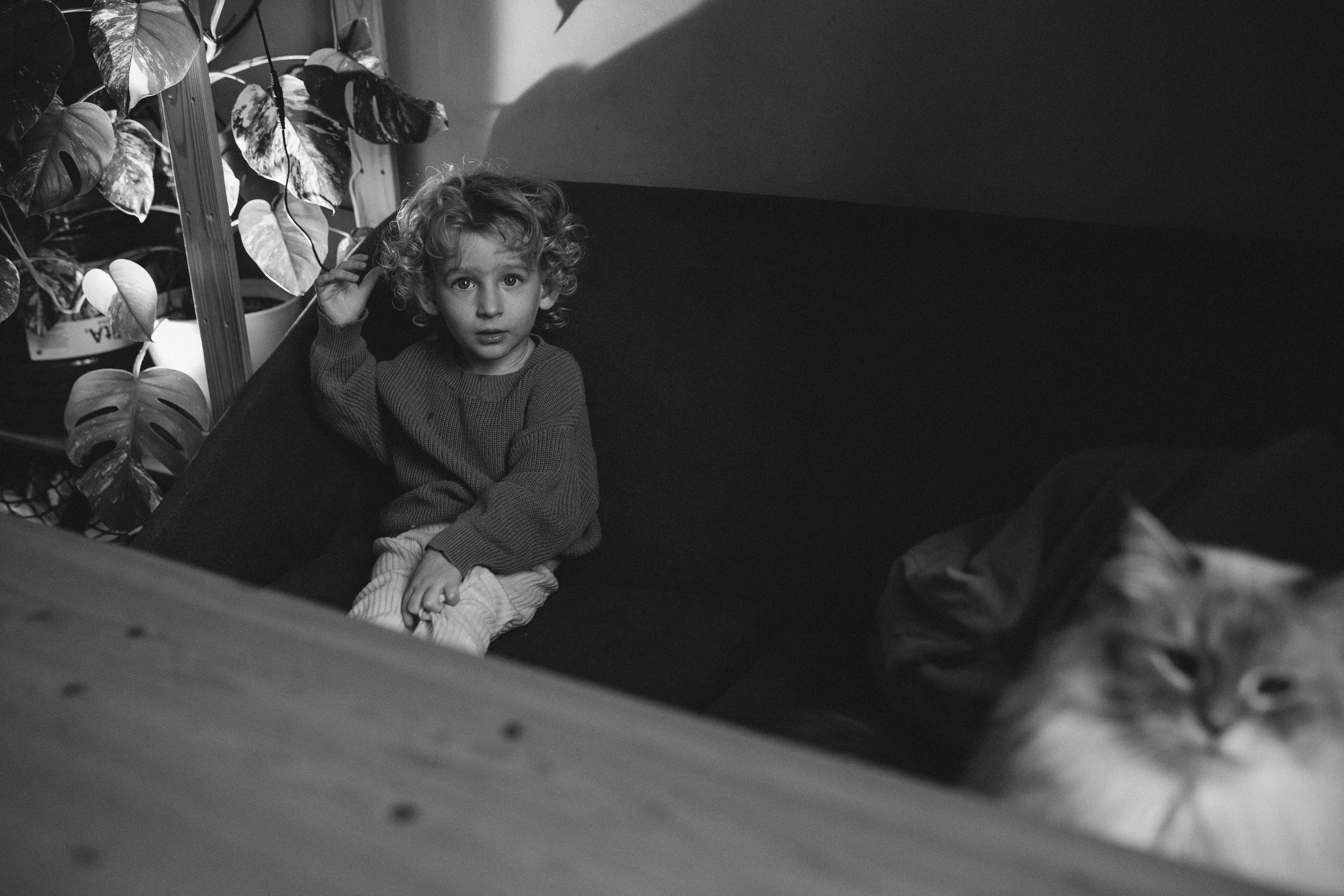 Виктор & Евгения & Марк. Главная