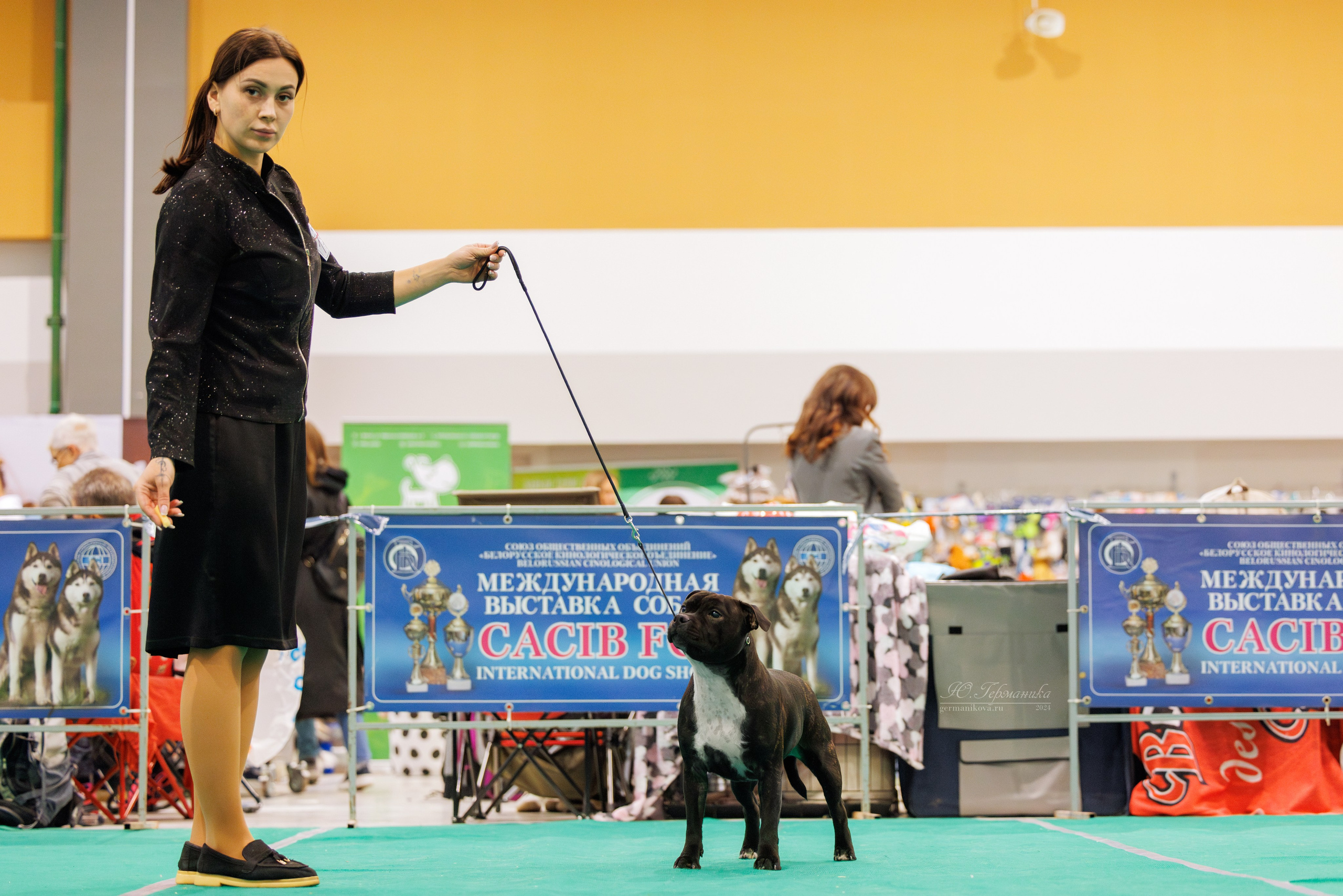 Минск 23.11.2024. Фотограф-анималист Юлия Германика