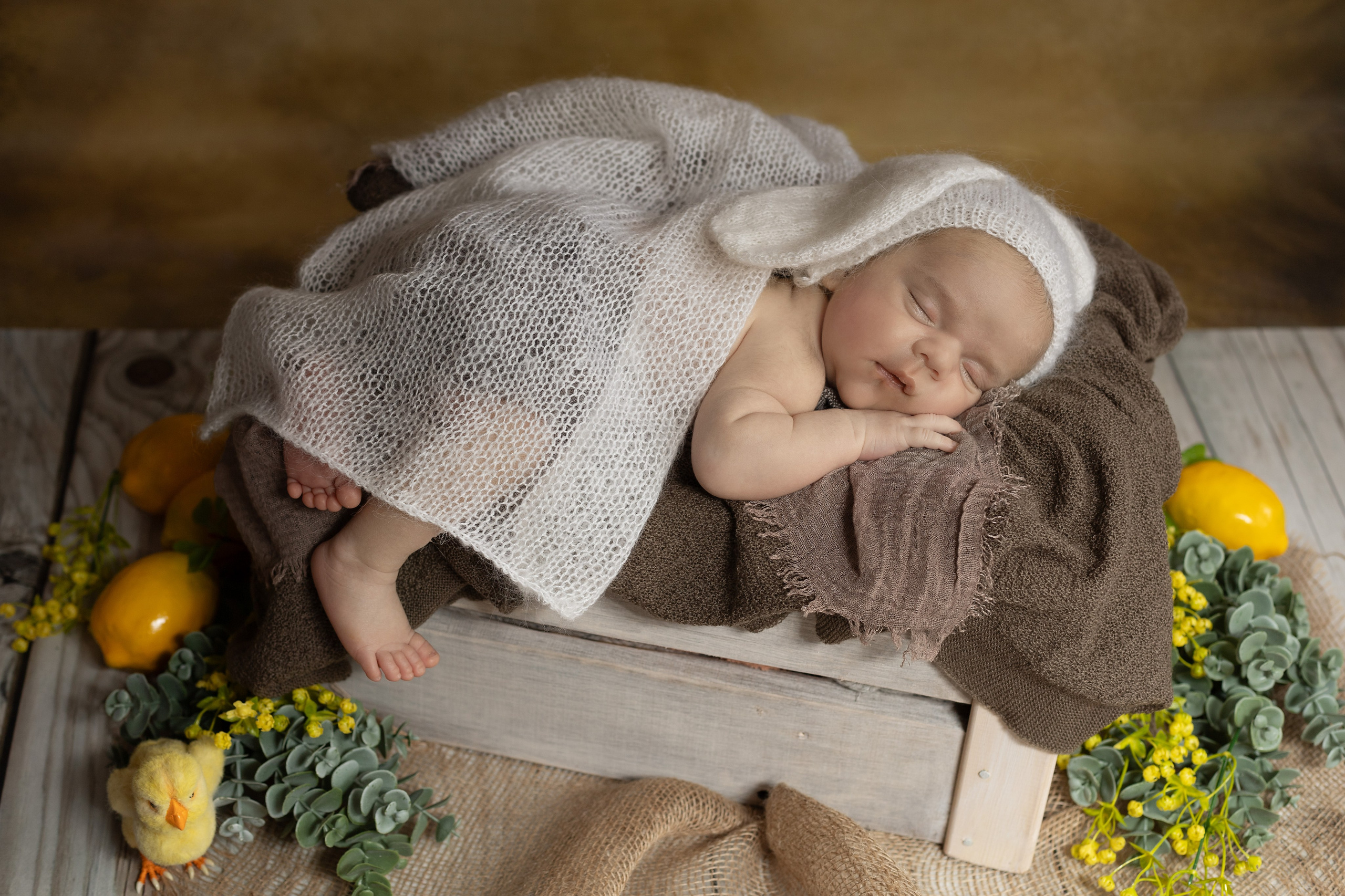 Лев. Ольга SHREIBICUS — Фотография беременности и новорожденных Оренбург