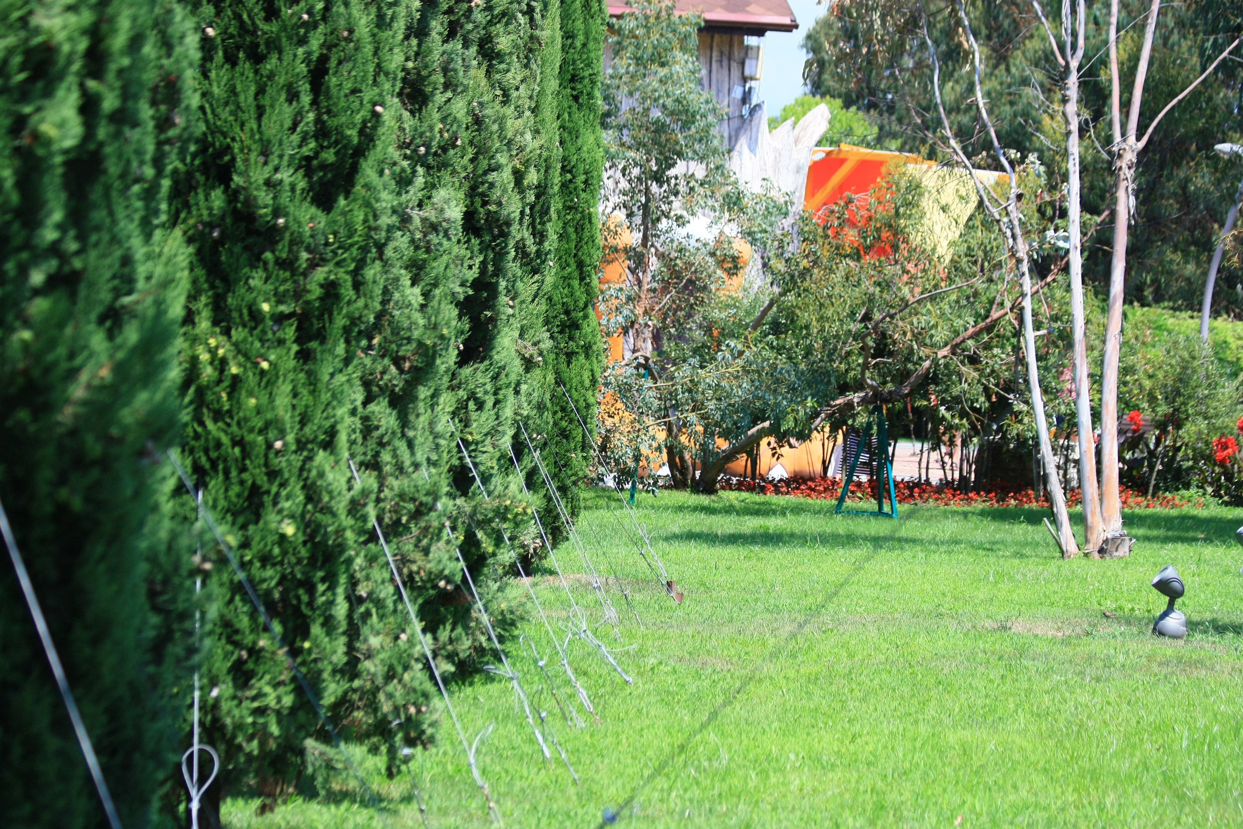 Первые кадры. Сочи — парк. Фотограф Роман Адлер