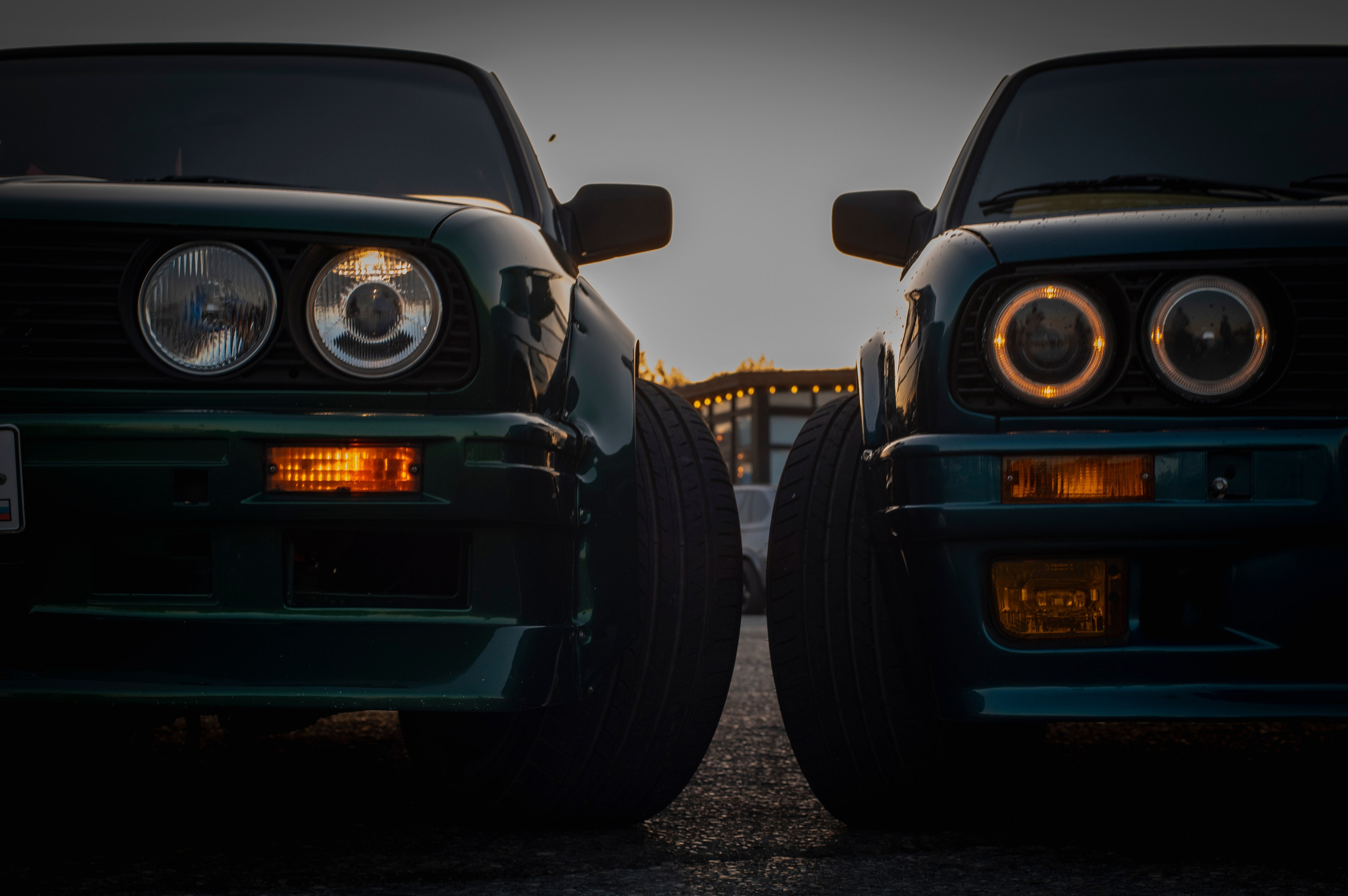 БМВ & Доберман. Фотограф Роман Адлер