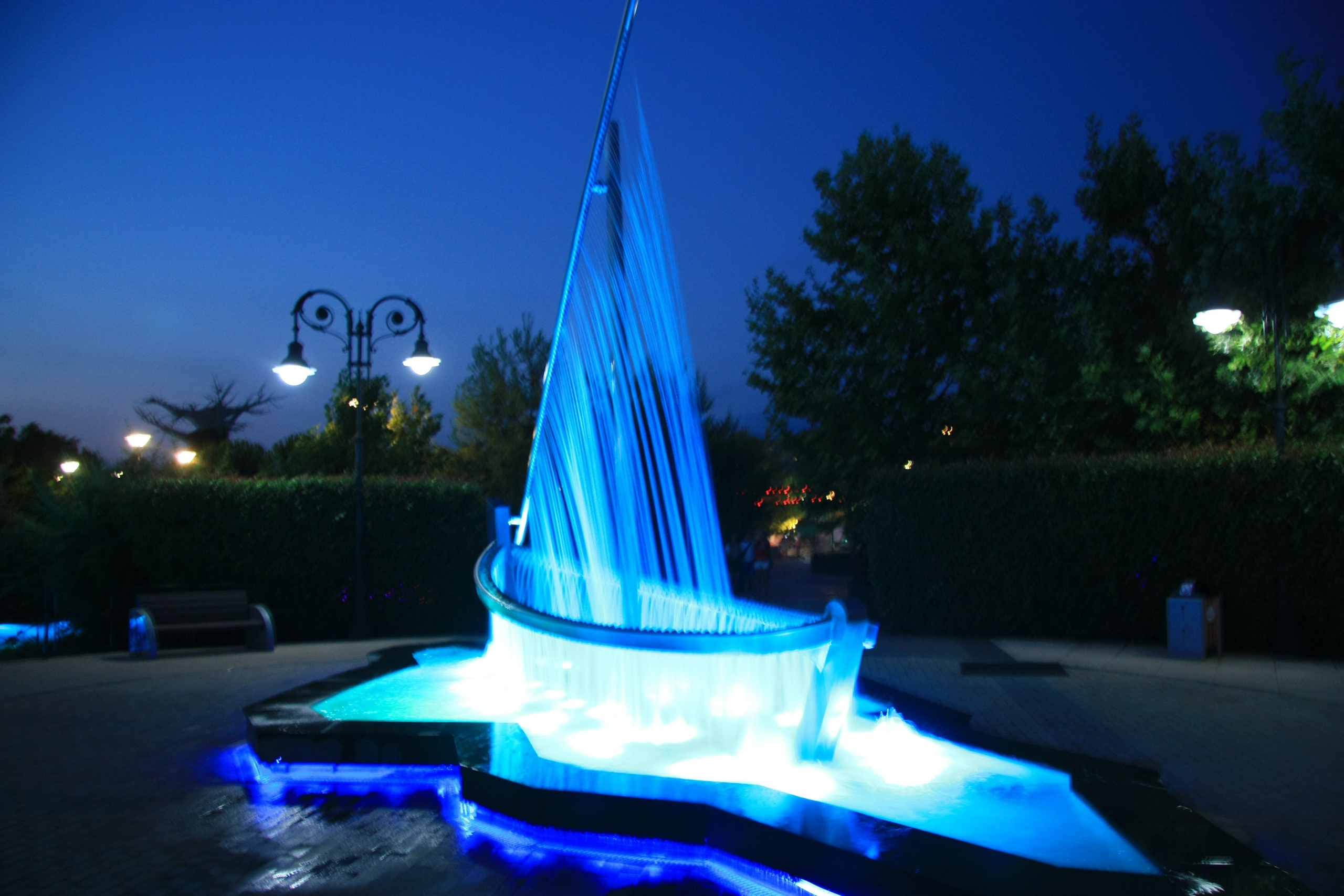 Первые кадры. Сочи — парк. Фотограф Роман Адлер