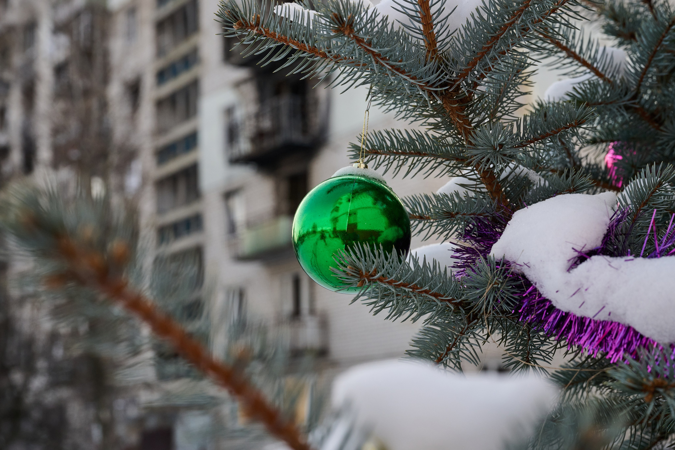 Рубежное. Январь 2026. Фотограф Роман Адлер
