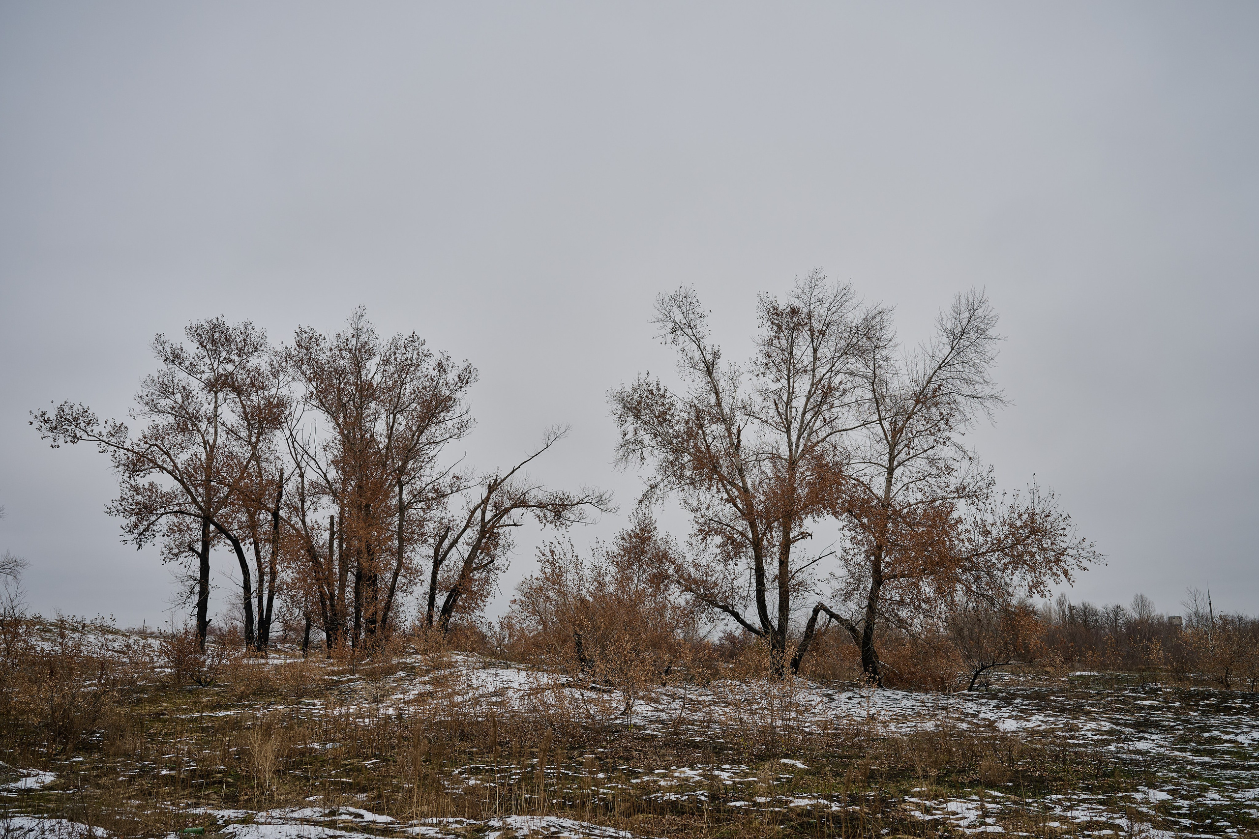Северодонецк (Луганская область). Декабрь 2024. Фотограф Роман Адлер