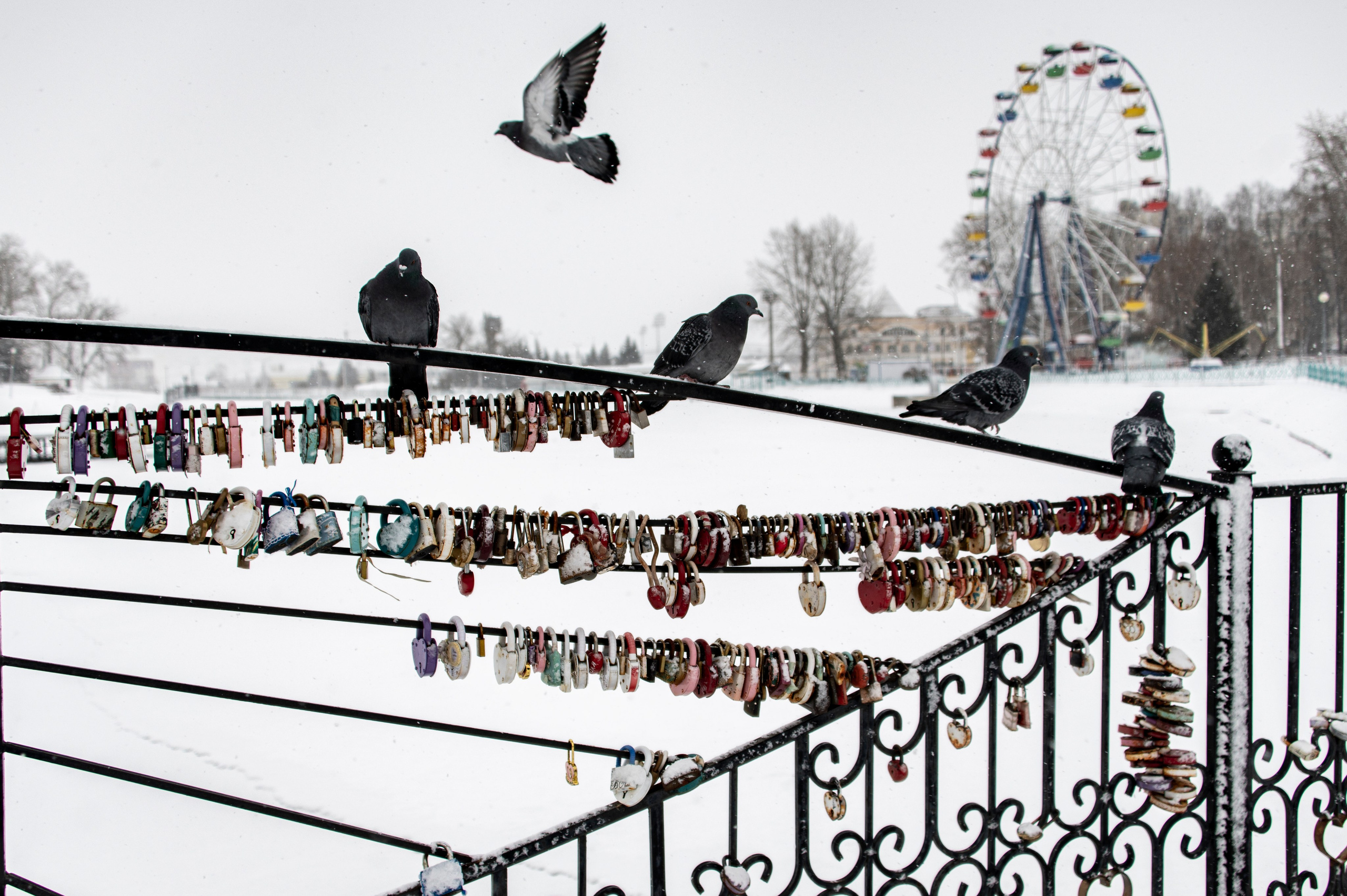 Фотографии Саранска. Уличные фото Саранска. Современный Саранск фото. Саранск фото. Фотограф Роман Адлер. Фото Саранск 2024