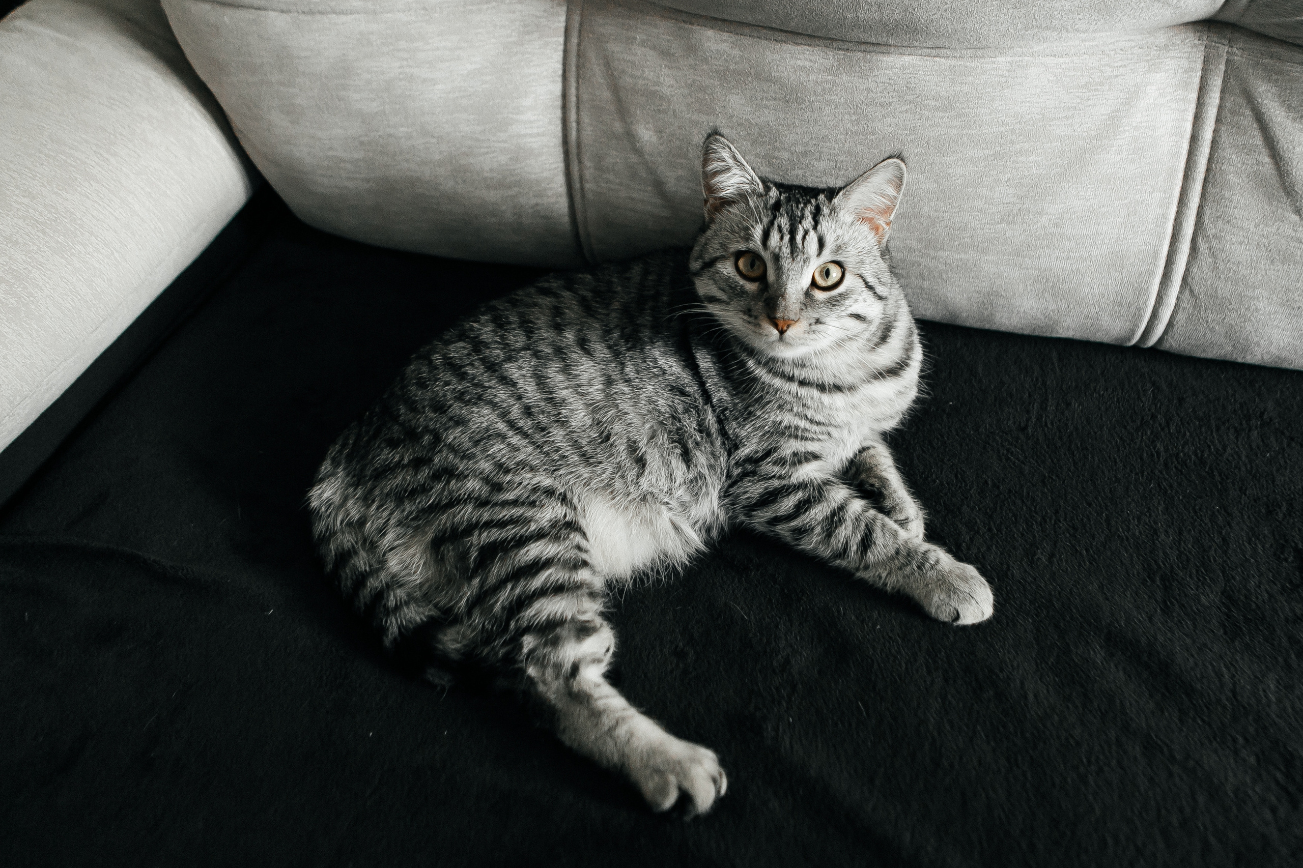 Свадебный фотограф Нижний Новгород. Свадебный и контент фотограф в Нижнем Новгороде Владимир Пресняков