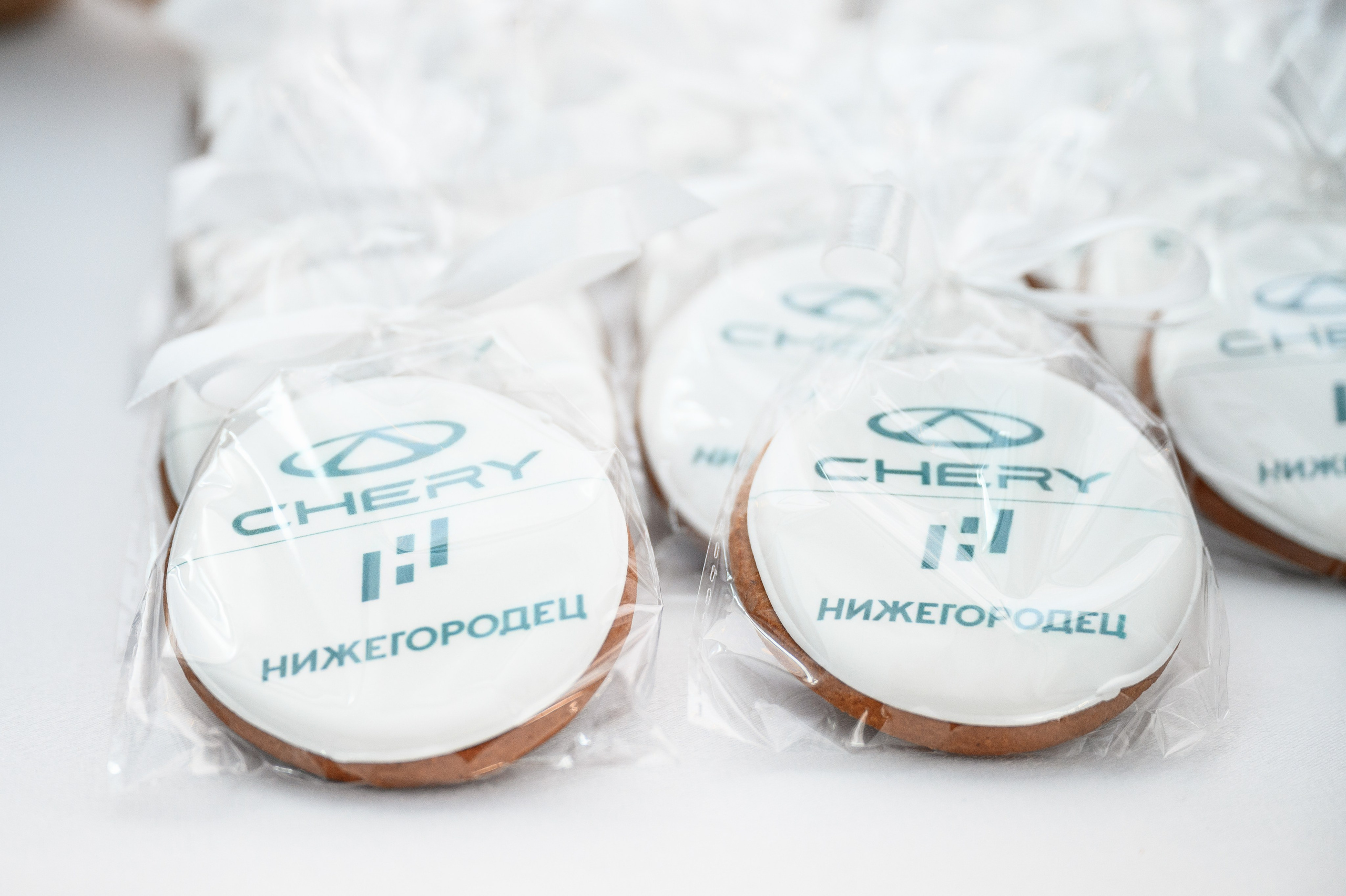 Презентация Cherry Tiggo 9 x Ильдорф. Фотограф Захваткин Роман