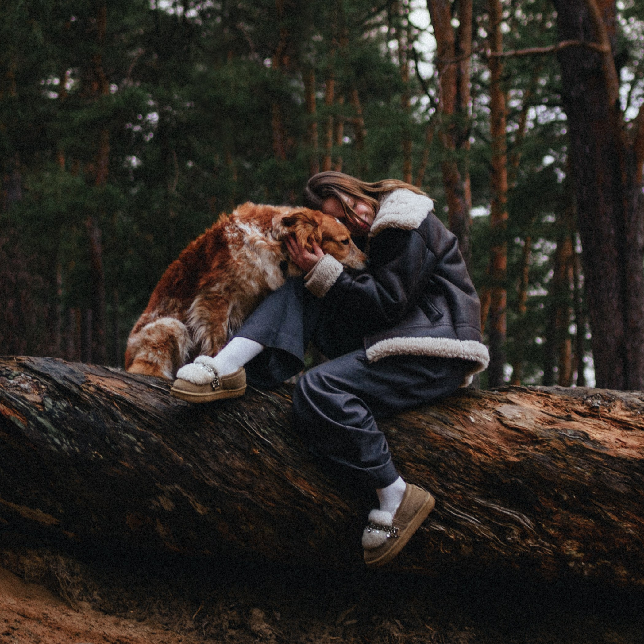 Илона и Челси. MariaGohri — Конный фотограф, анималист, Рязань