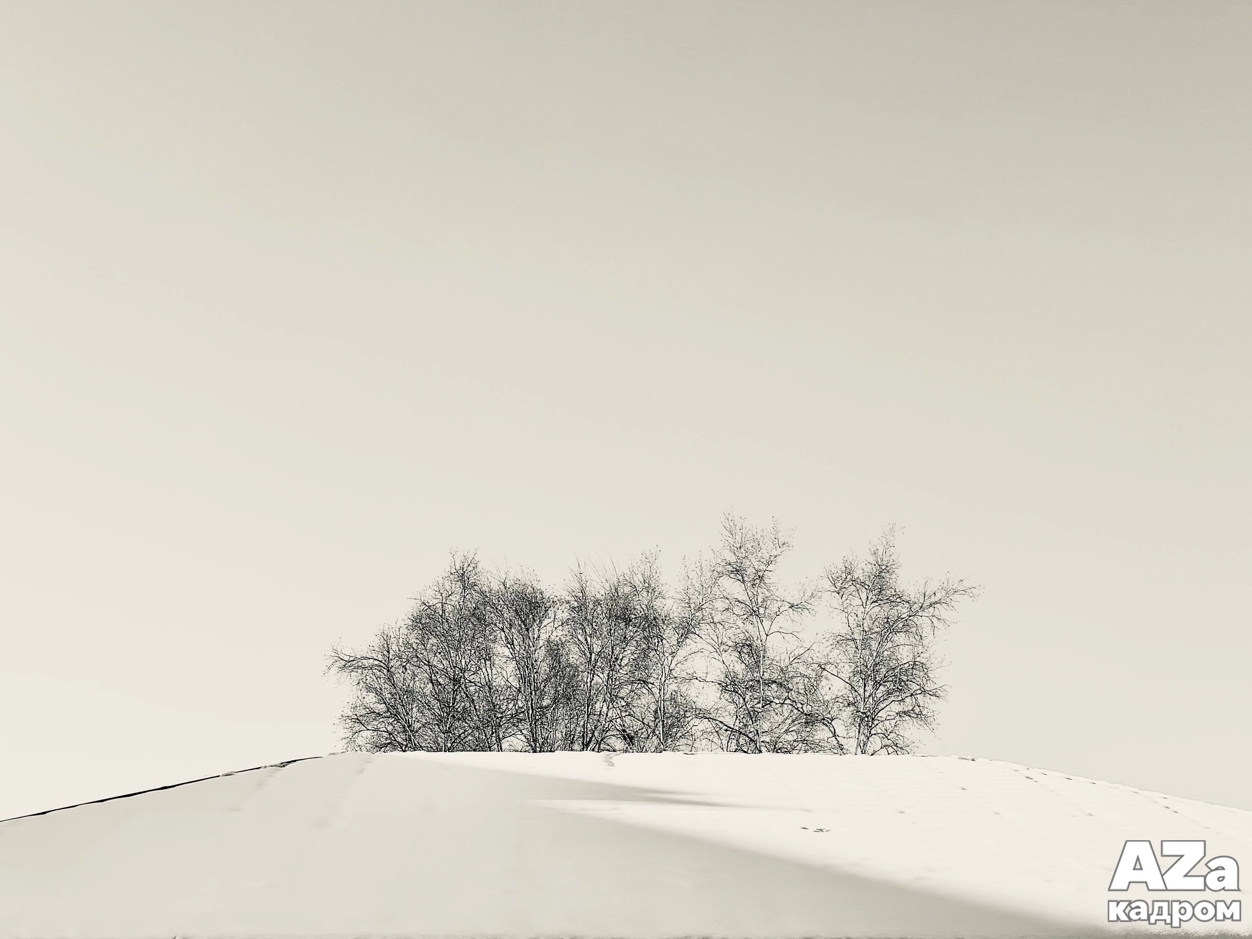 Фотограф Оксана Дойбань в Биробиджане