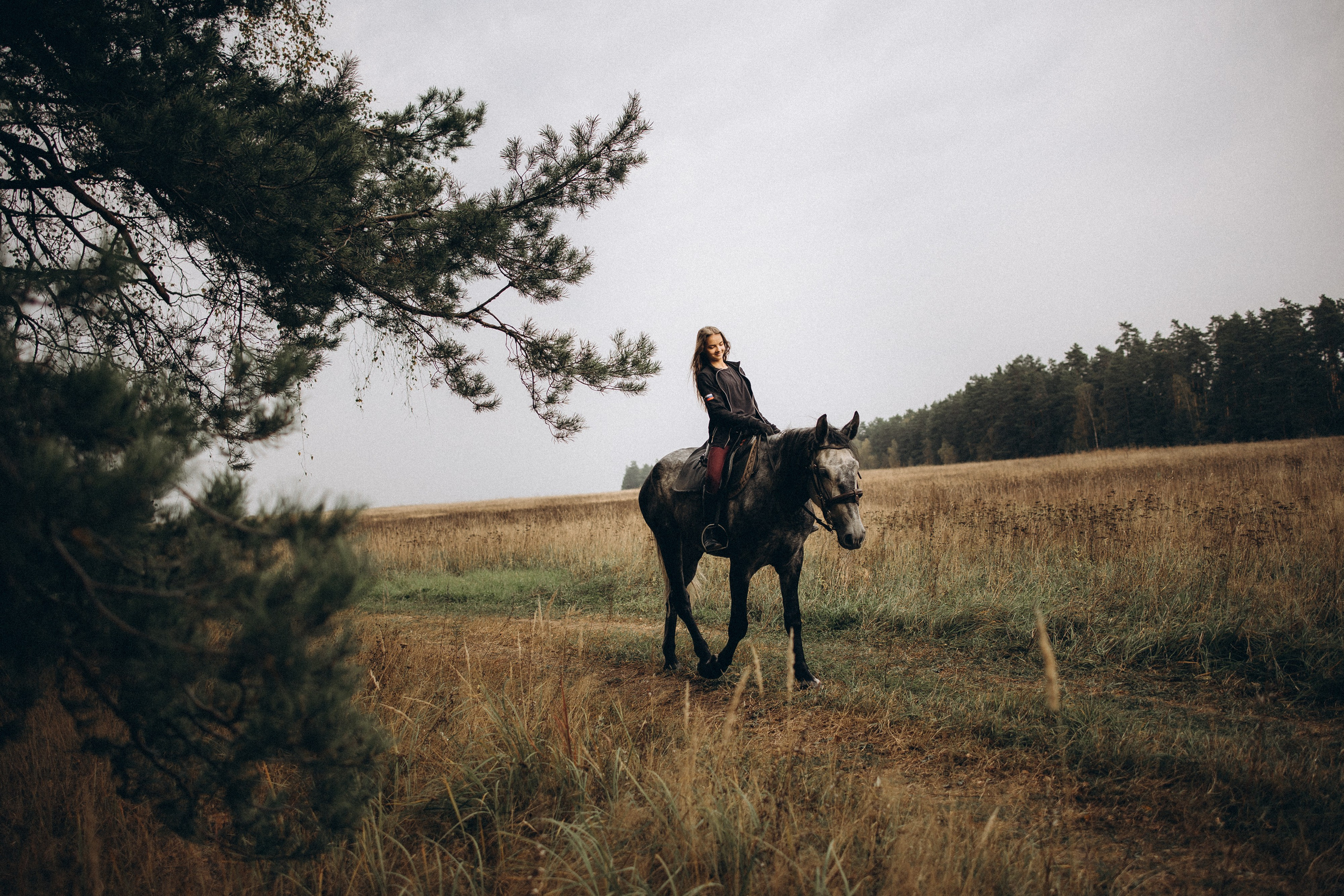 Лошади. Ваш фотограф в Москве и области Юлия
