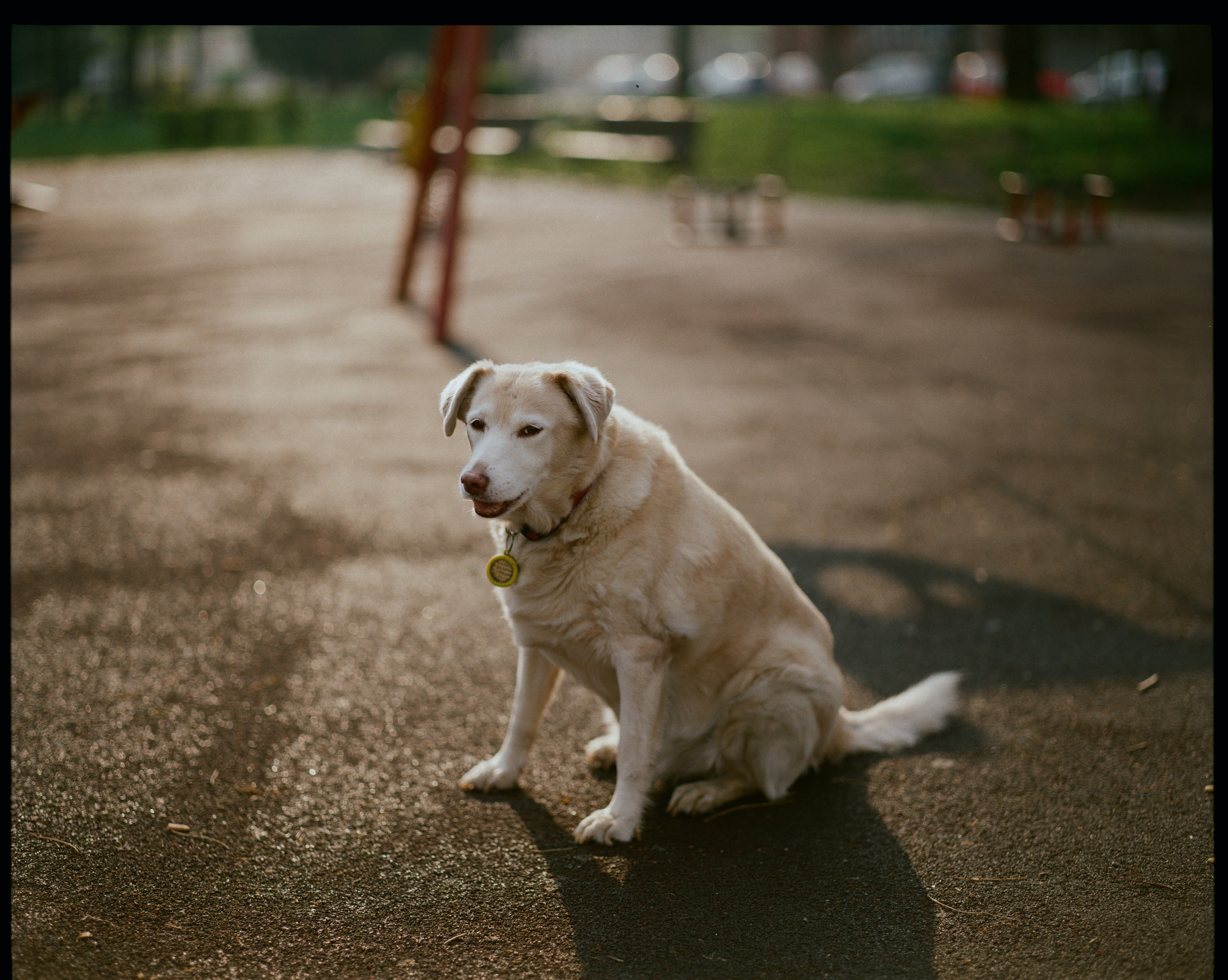 Urban and Street. Oleg Kozachok — Photographer with Protanopia | Portraits, Texture & Light