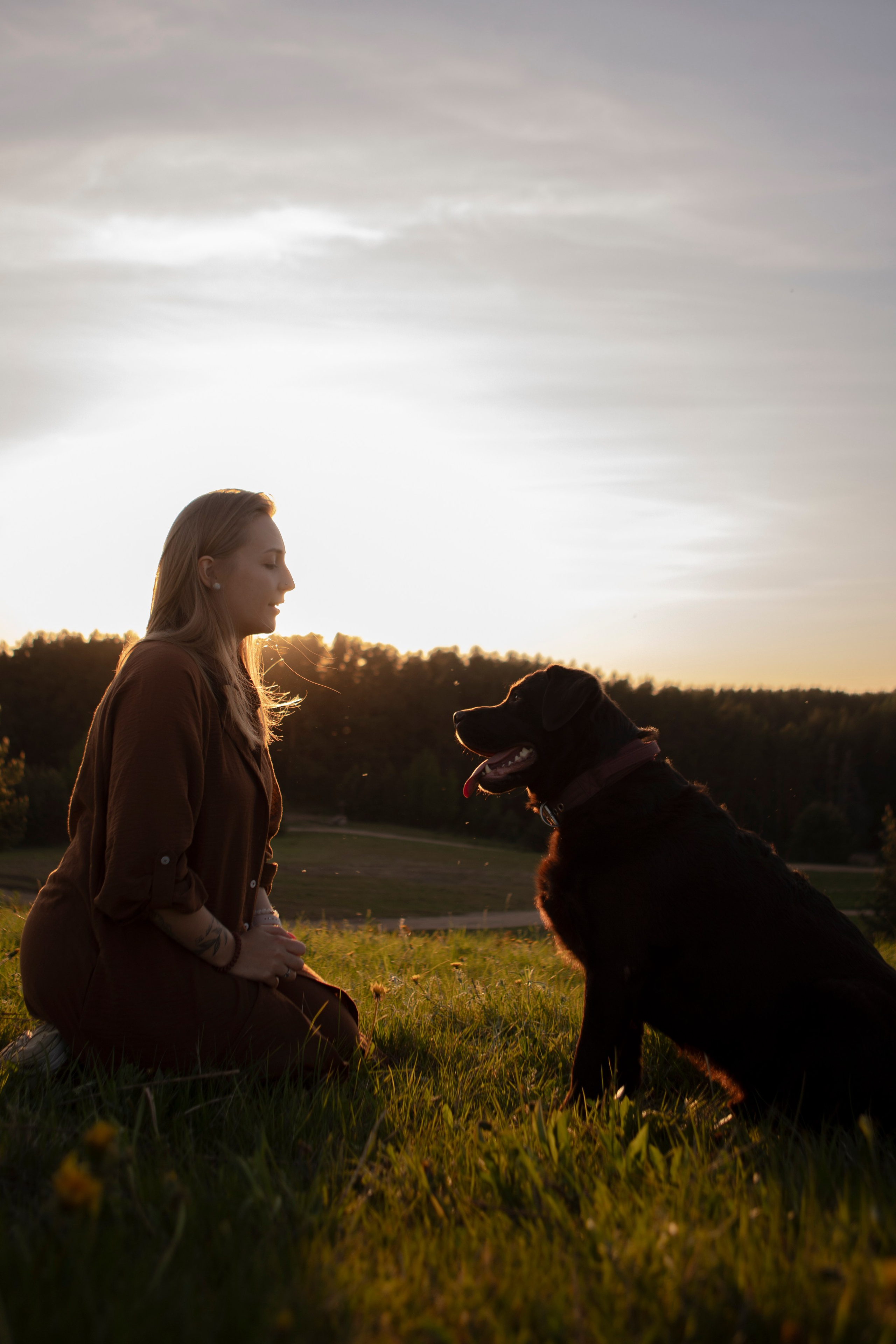 Закатная. Фотограф-анималист в Санкт-Петербурге Алина Яхонт