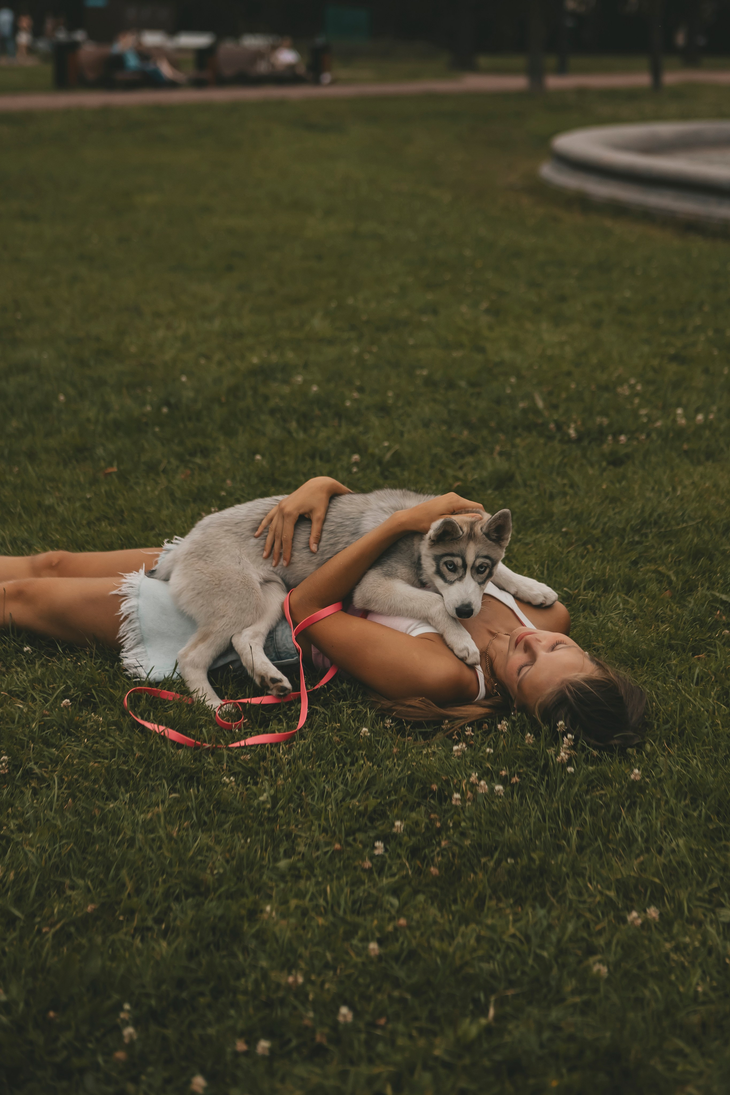 Милана и Белка. Фотограф-анималист в Санкт-Петербурге Алина Яхонт