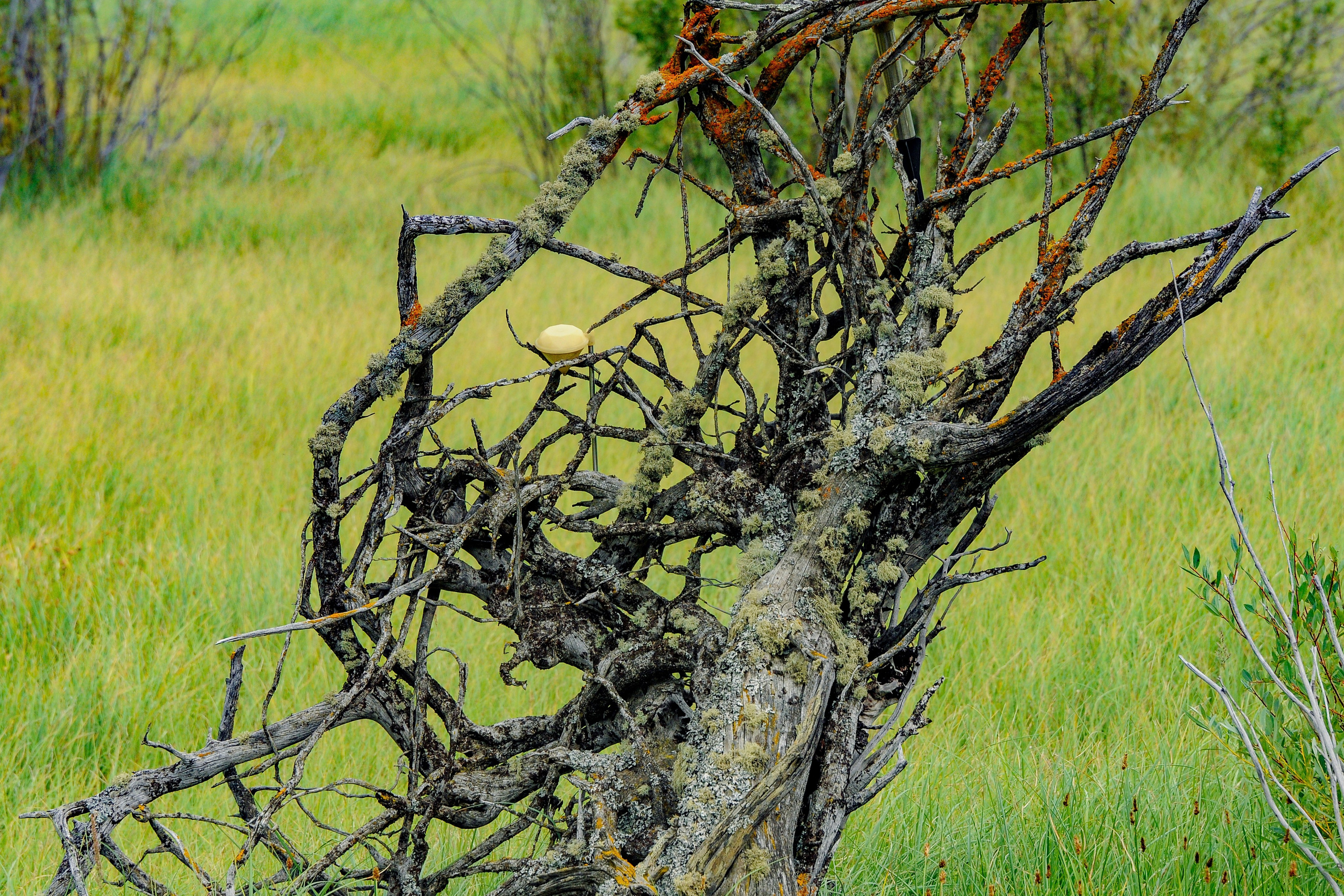 Окрестности гейзерного озера.