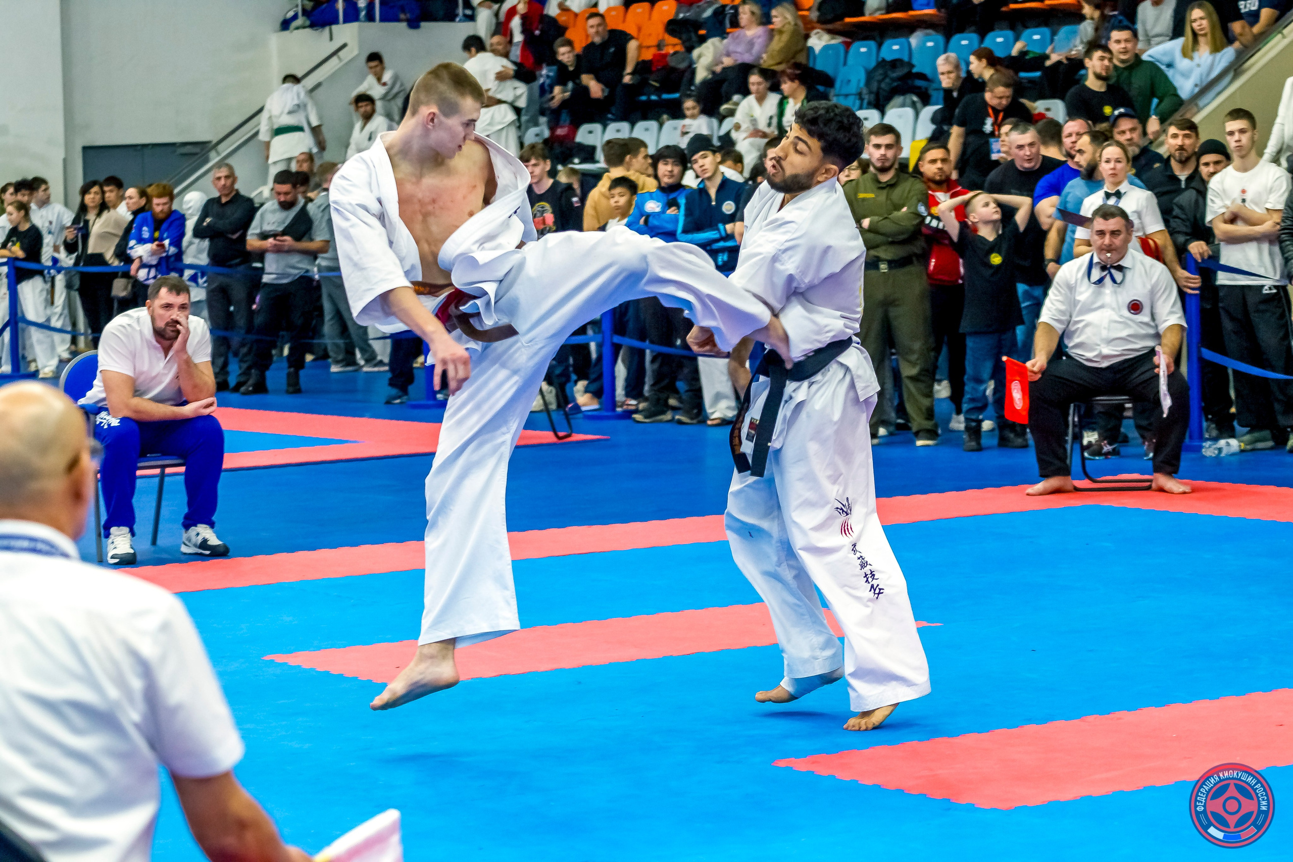 Международный турнир по киокушин «Открытый кубок Seiken». Репортажная съемка в Москве и области. Анималистика