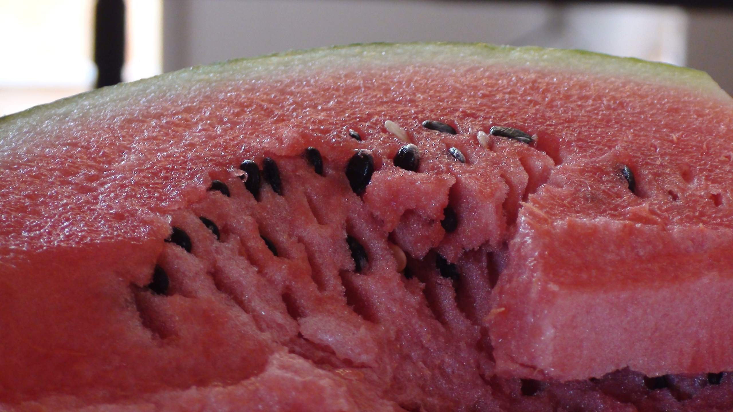 Кабардинка 05-19.07.2013. Семейный, Свадебный фотограф СПБ Питер— Романова Екатерина