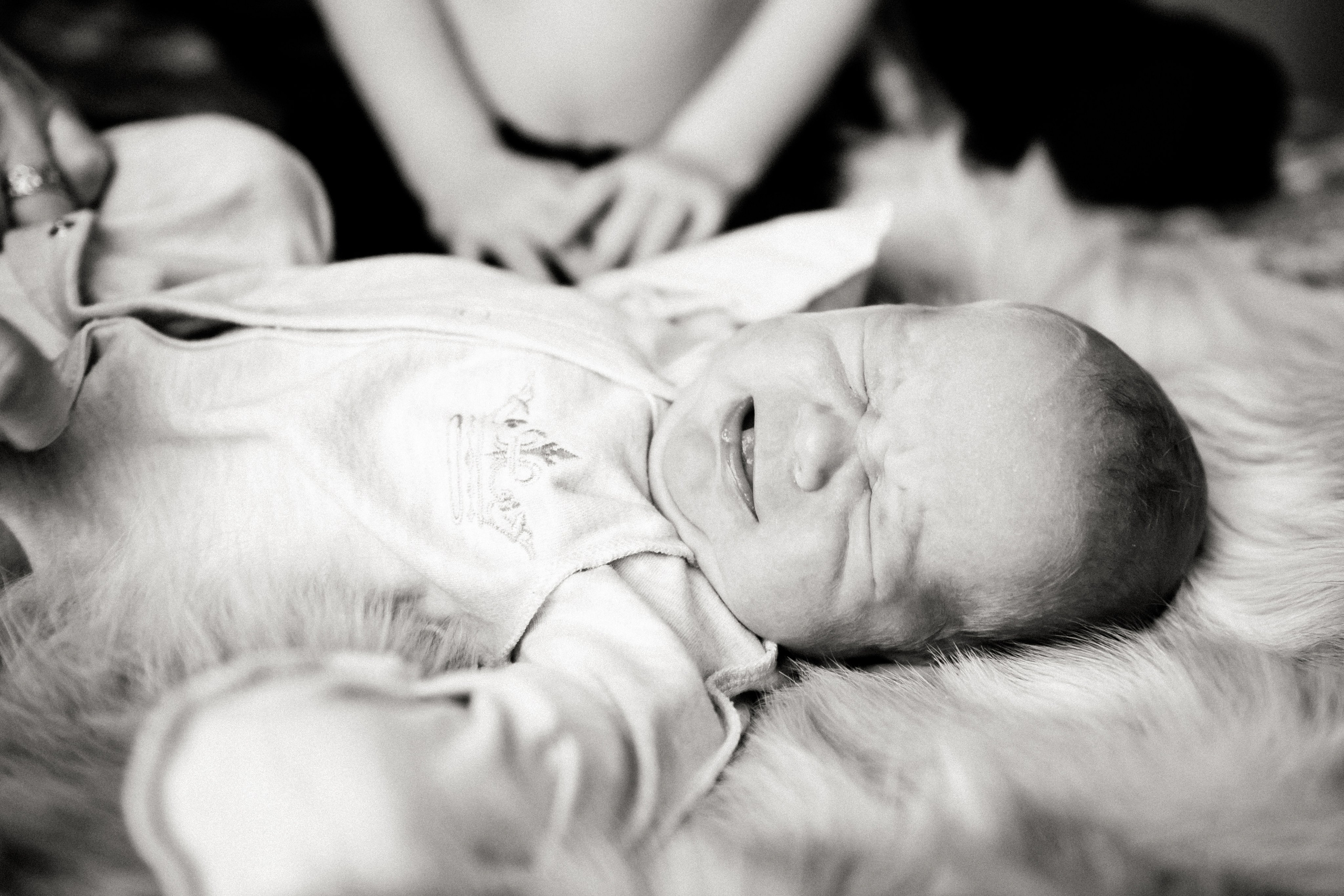 Антон, Владлена +2 :). Фотограф Егоров Констанин