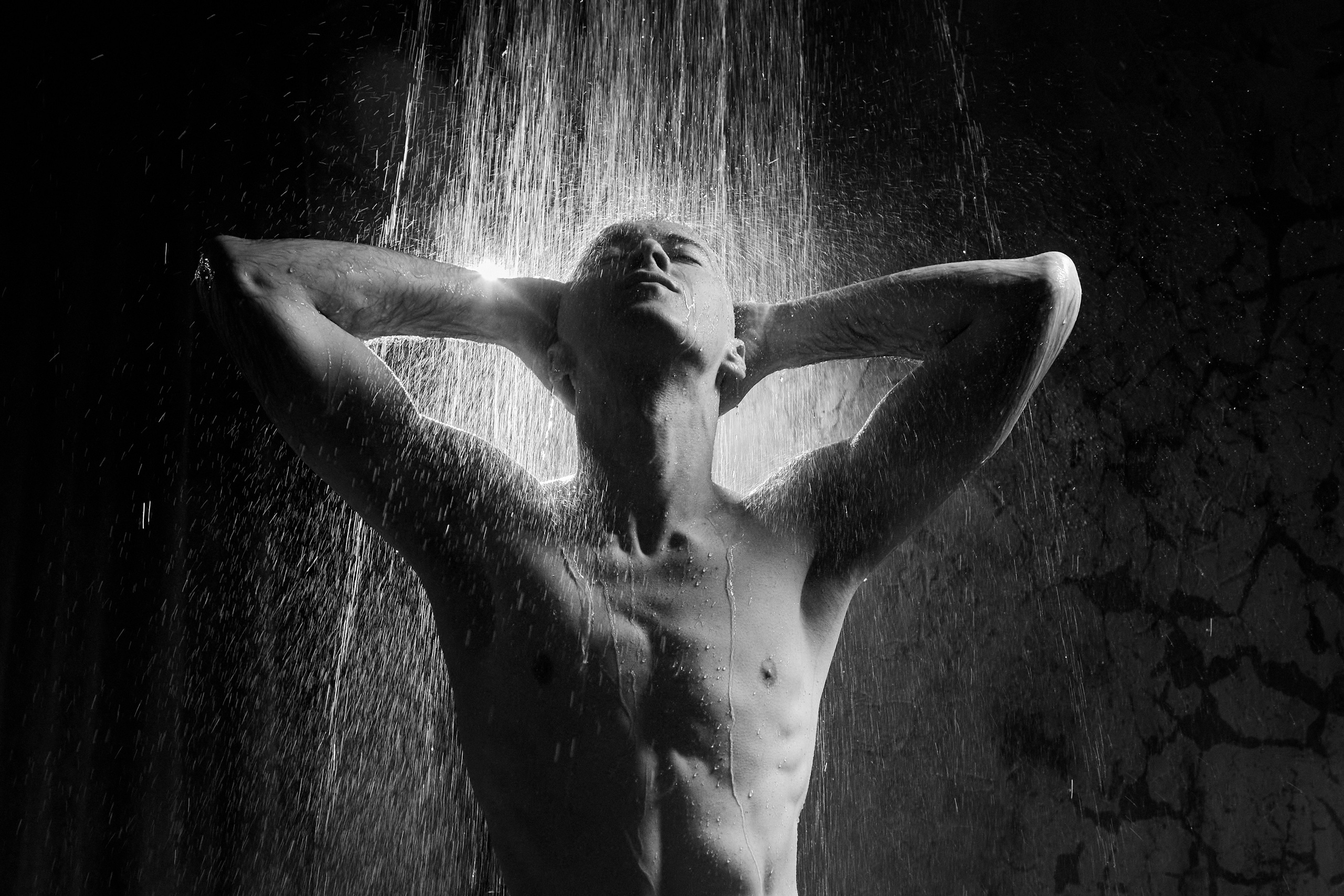 Портреты и Проекты