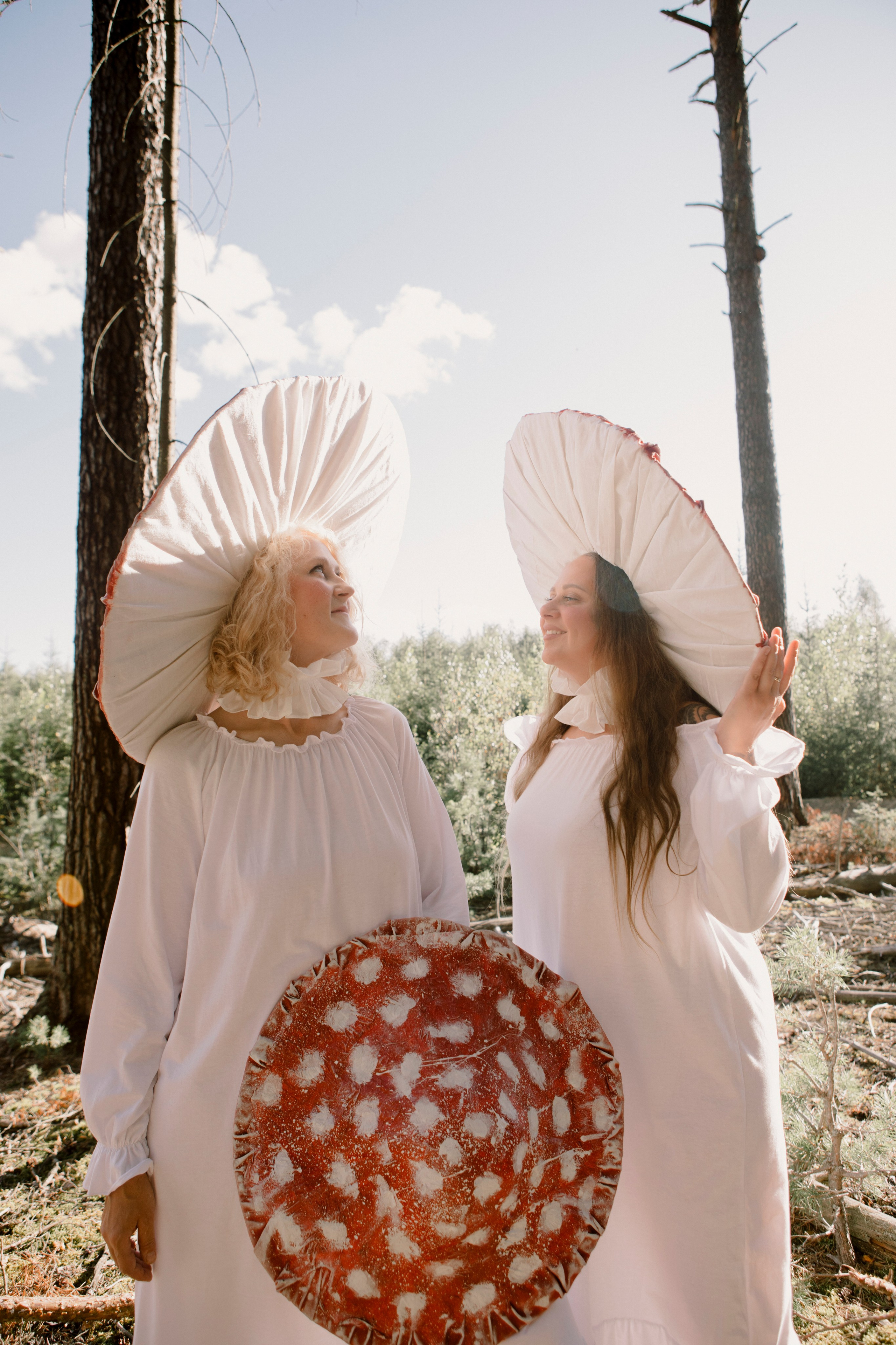 Грибы. Ольга Пилант. АРТ, бэкстейдж, свадебная и семейная фотография, городской портрет, интерьерная фотография