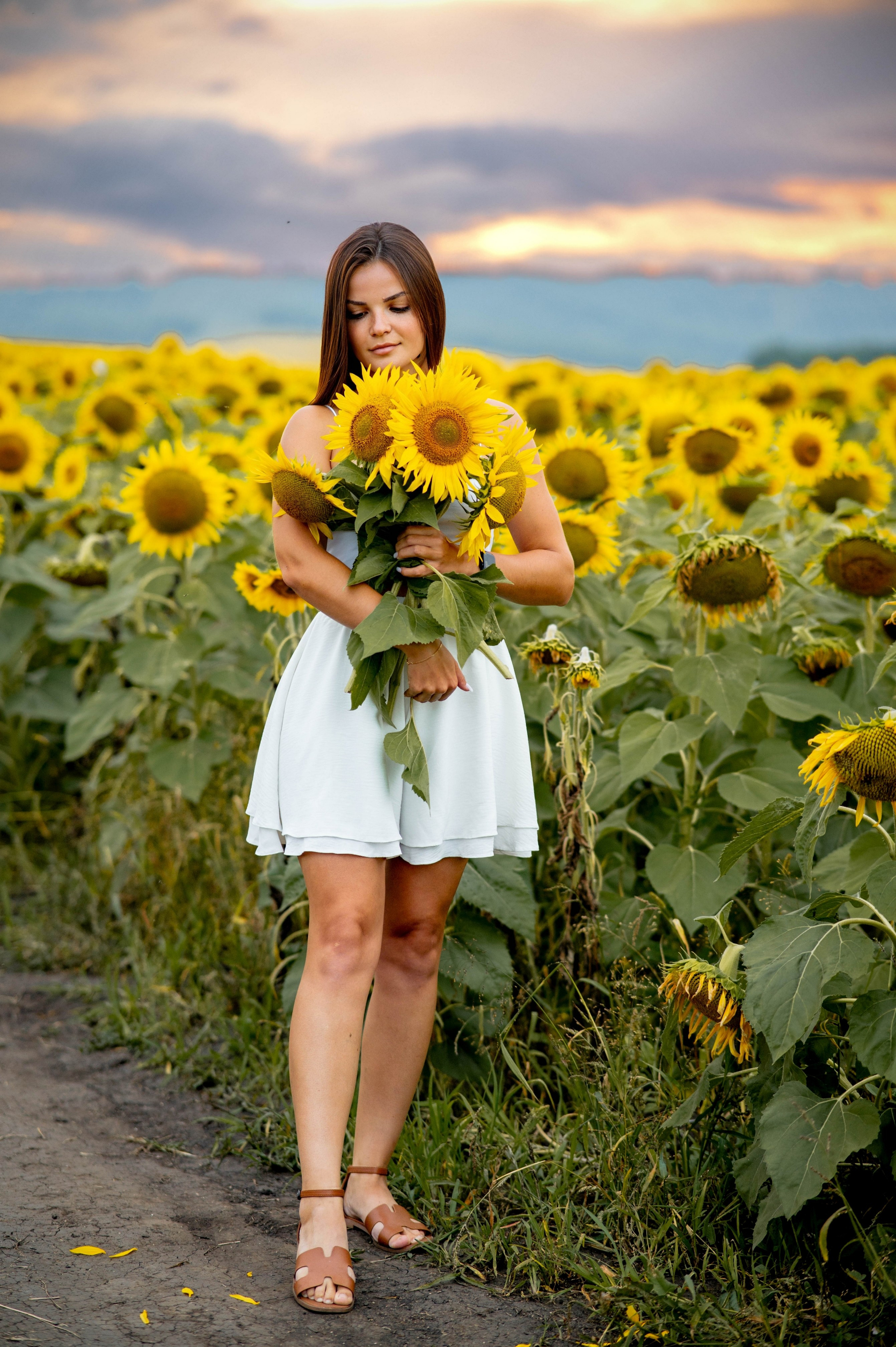 Подсолнуховое поле. Семейный и свадебный фотограф в Абакане Юлия Су