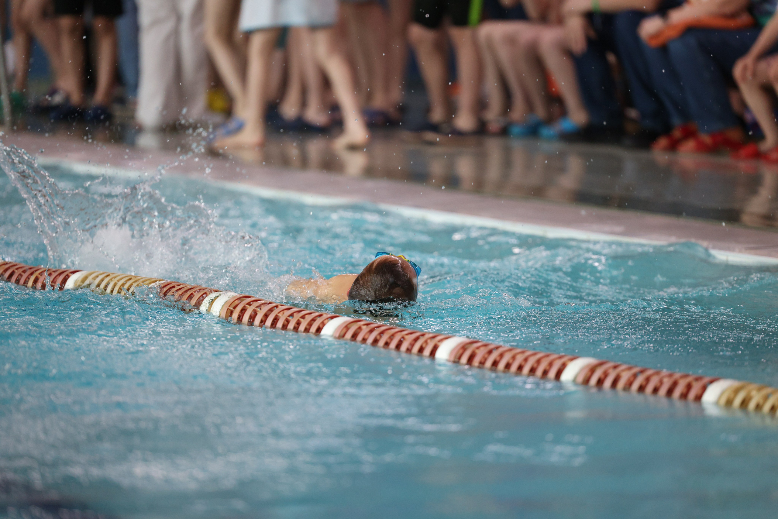 Веселый дельфин. Плавание. Дети 8-9 лет. Фотограф Александр Заломаев