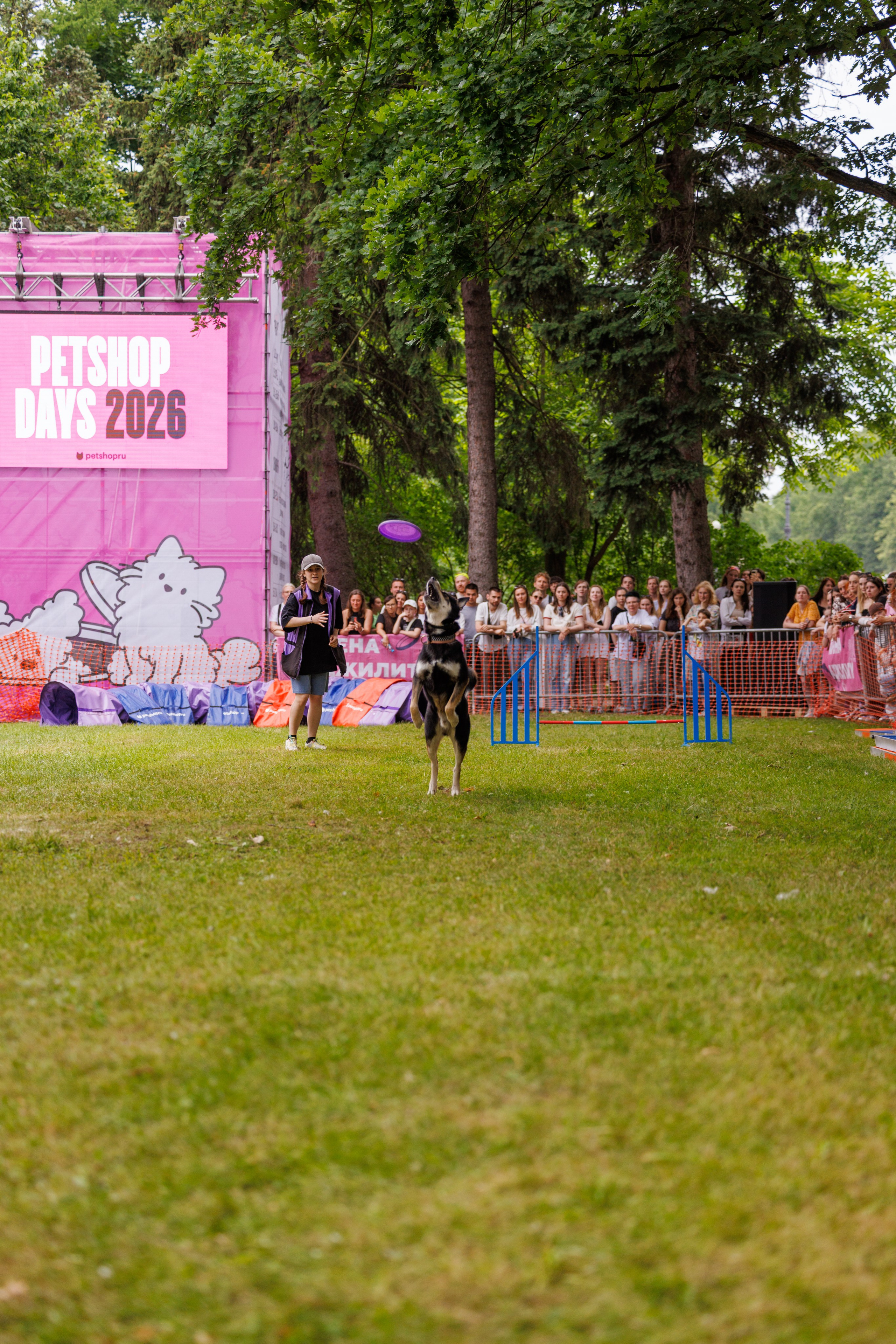 PetShopDays2026. Фотограф Александр Заломаев