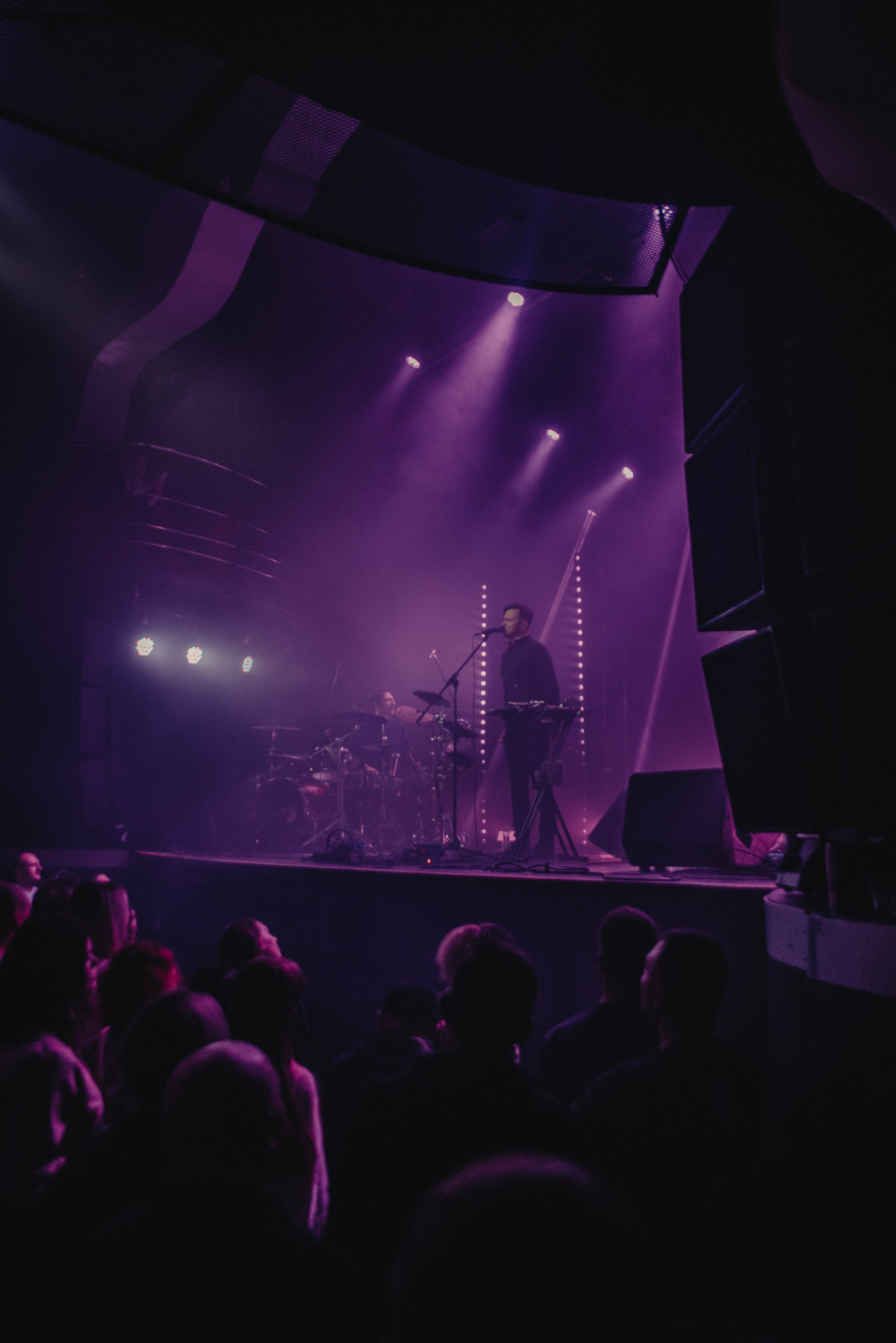 Дельфин | Gaudi. Контент фотограф Илья Урс