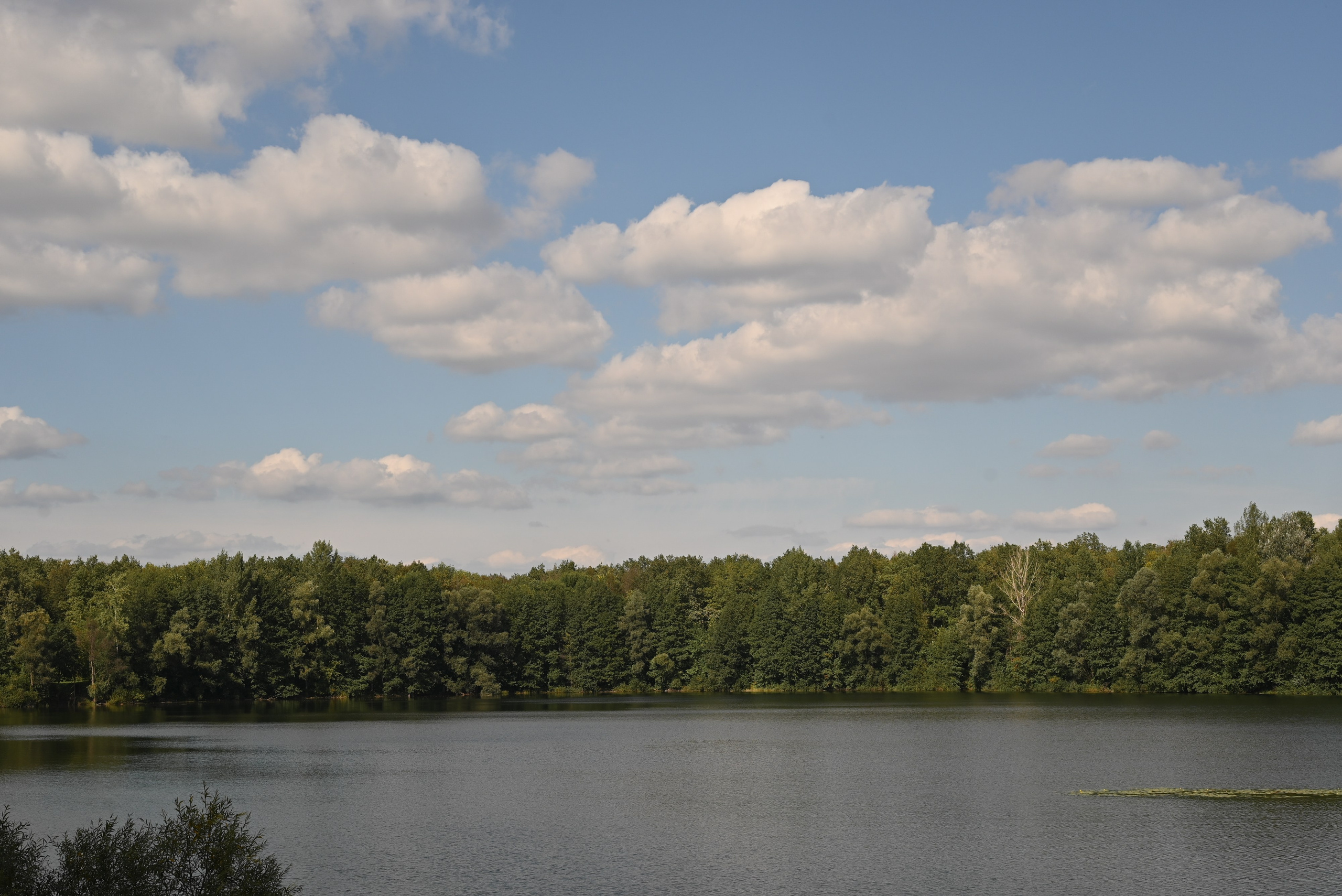 В гармонии с природой. Свадебный и семейный фотограф в Уфе Александров Максим
