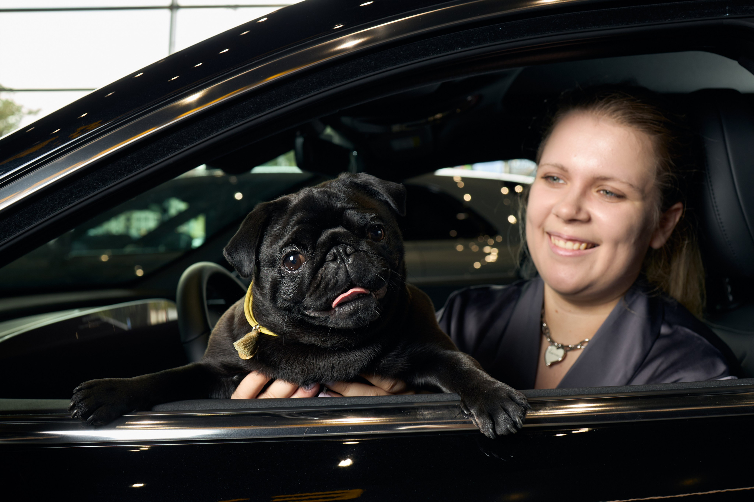 Exeed Pet friendly. Фотограф Михаил Стенин