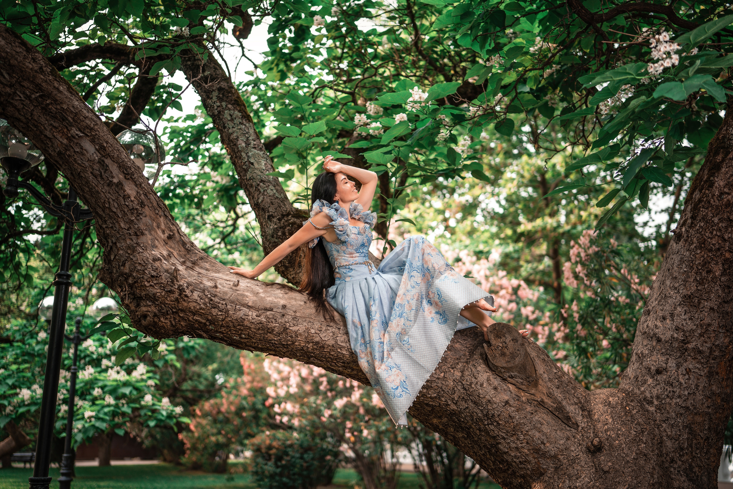 Фотограф Сочи парк. Фотограф Сочи