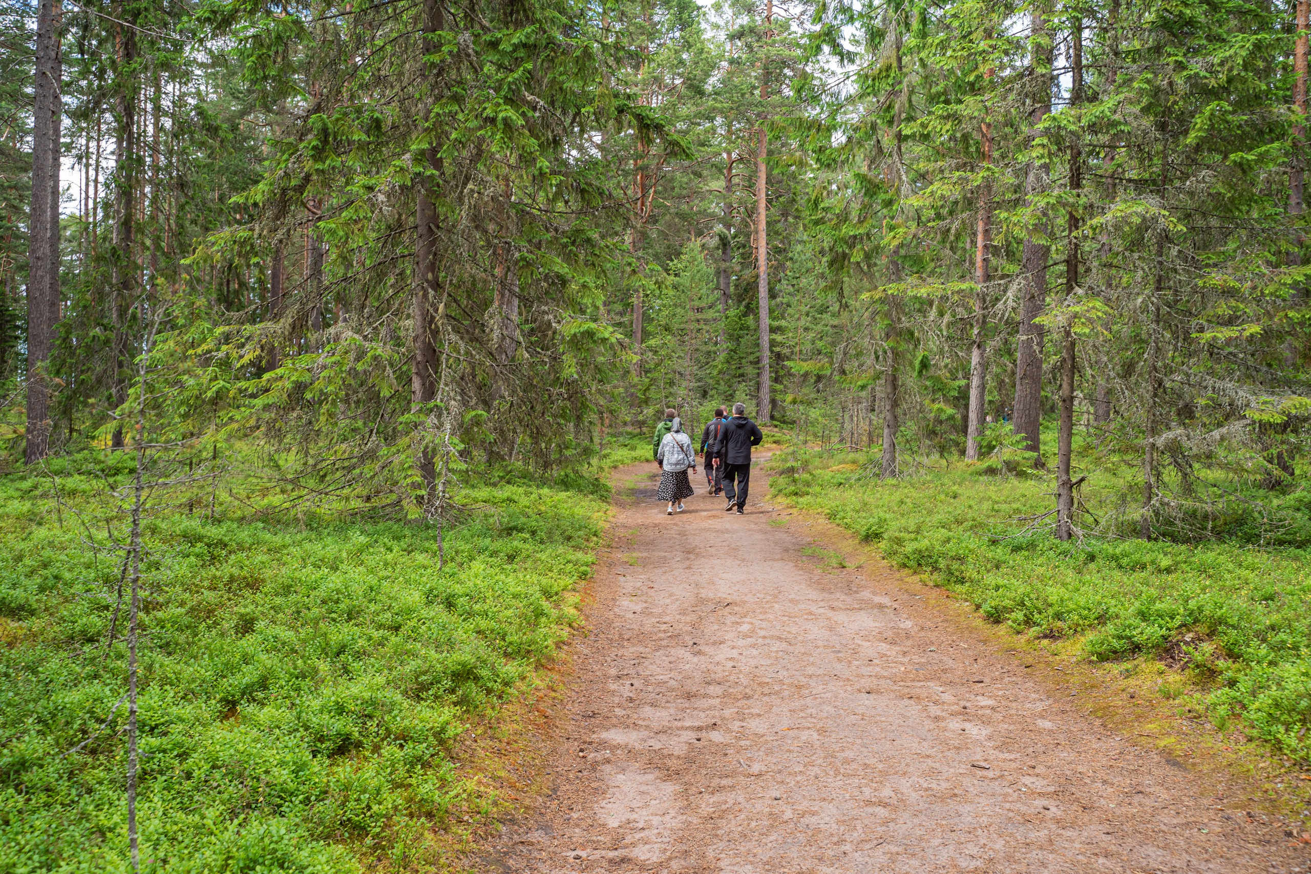 Гидровыезд в Коневский мужской монастырь. Свадебный, семейный, портретный, репортажный фотограф в Санкт-Петербурге