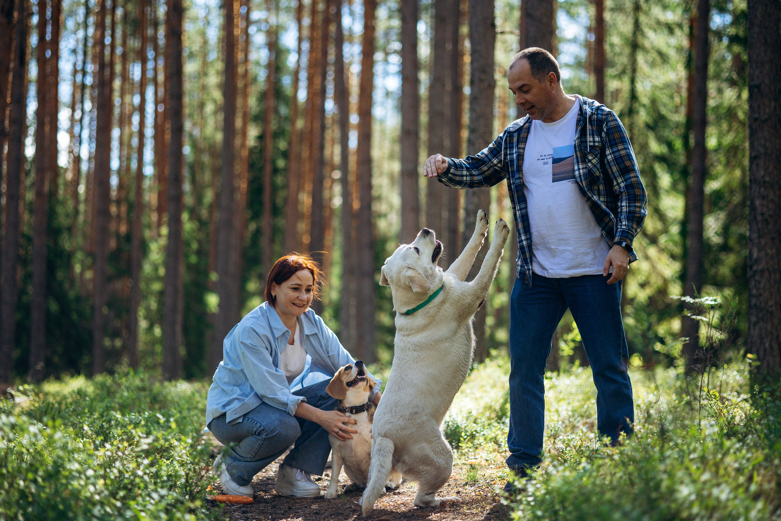 Котофеи и их семья. Фотограф — Анималист | Санкт-Петербург