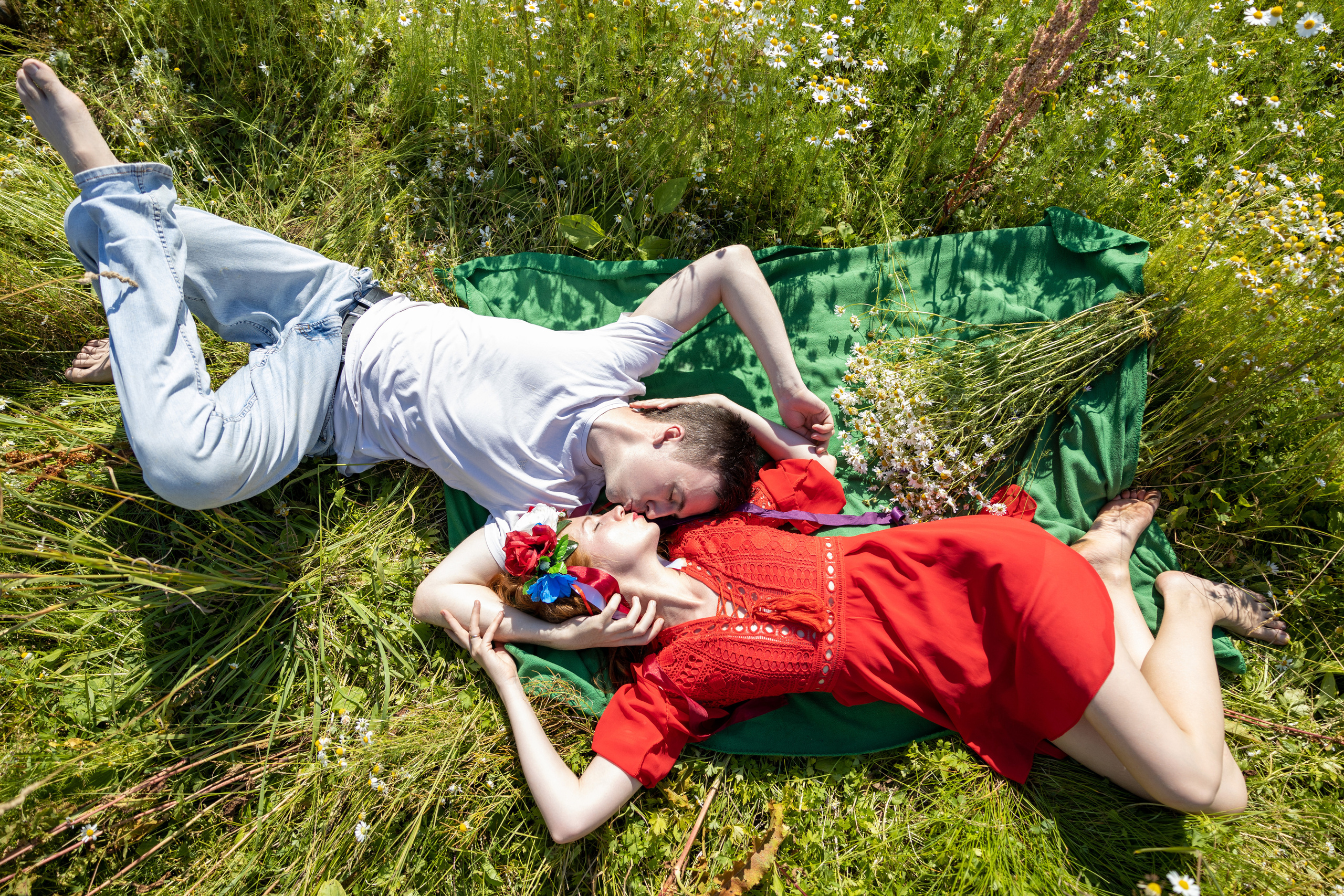 Ромашковое поле