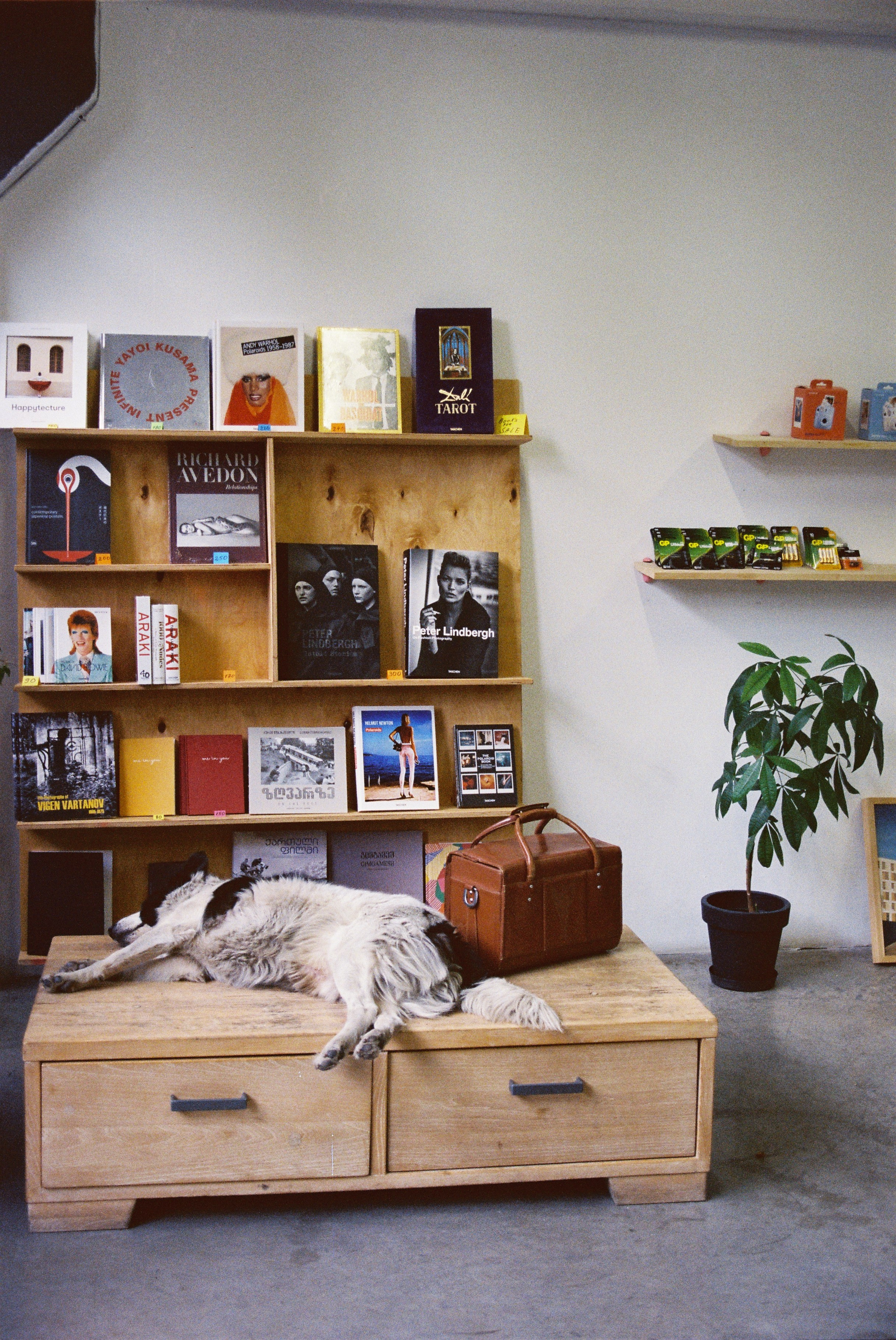 ON THE GO. Сocoobird || Атмосфера твоего бренда в снимках и видео