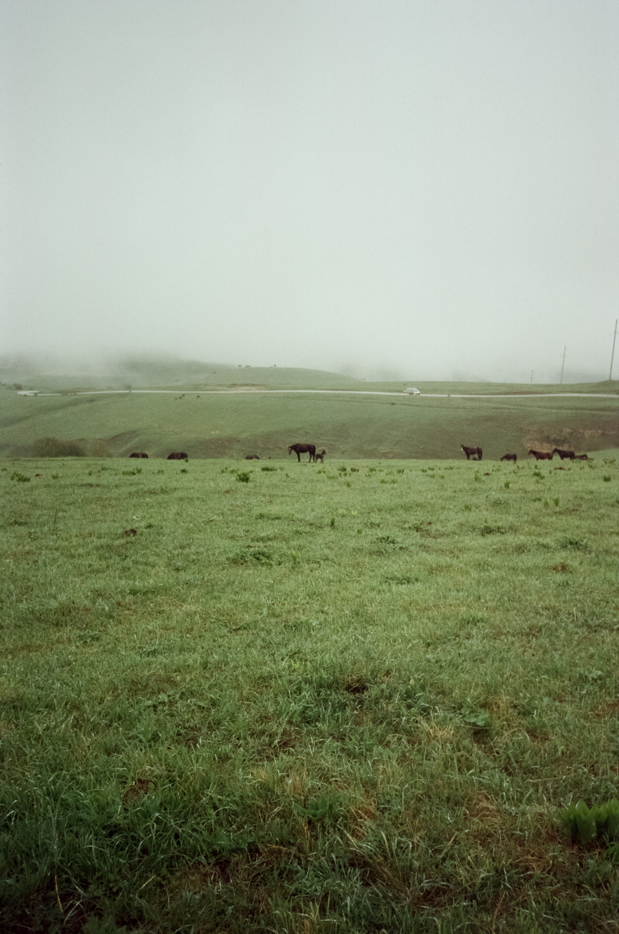 Дорога на Джилы-Су в дождливое утро. Туман. Фотограф-документалист Мария Осокина