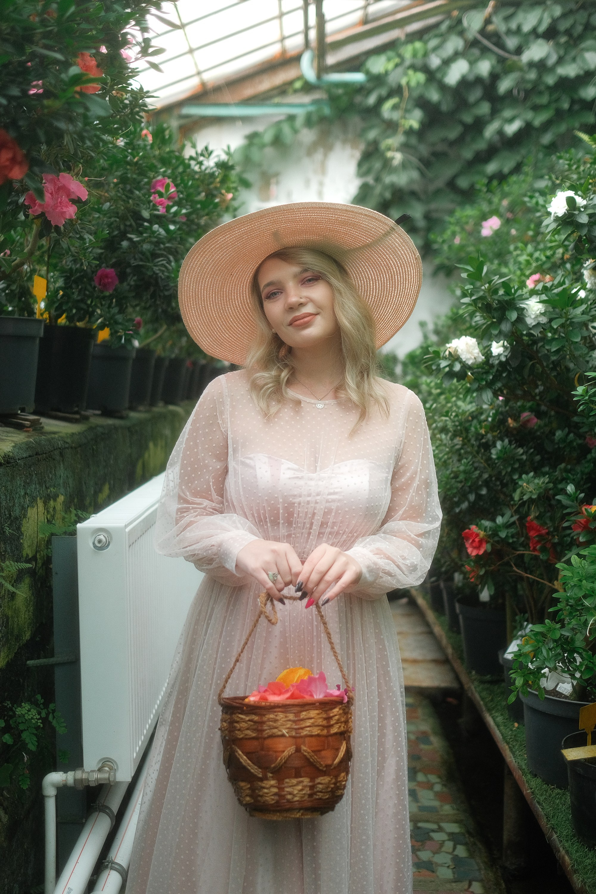 Greenhouse. Aleksandr Schafft