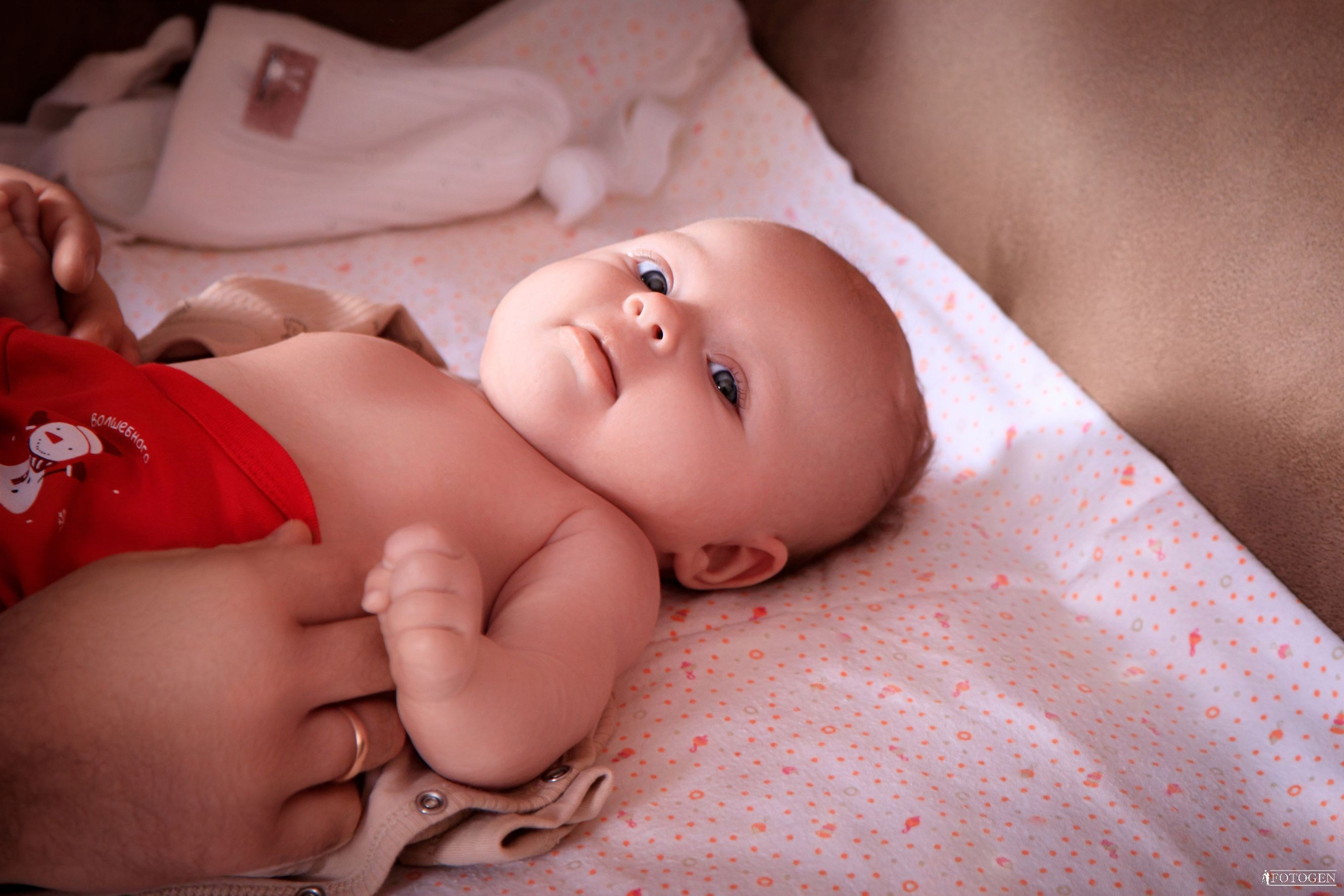 Фотостудии Fotogen я на сайте, заполняю портфолио, и seo Помоги мне написать Title, description, h1, h2 для страницы портфолио с фотосессие. Интерьерная фотостудия FOTOGEN г. Краснодар