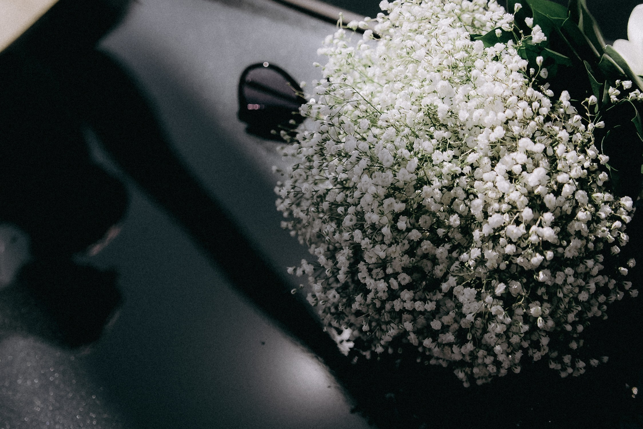 A Day Without Rules. Фотограф Сергей Суслов | Сочи
