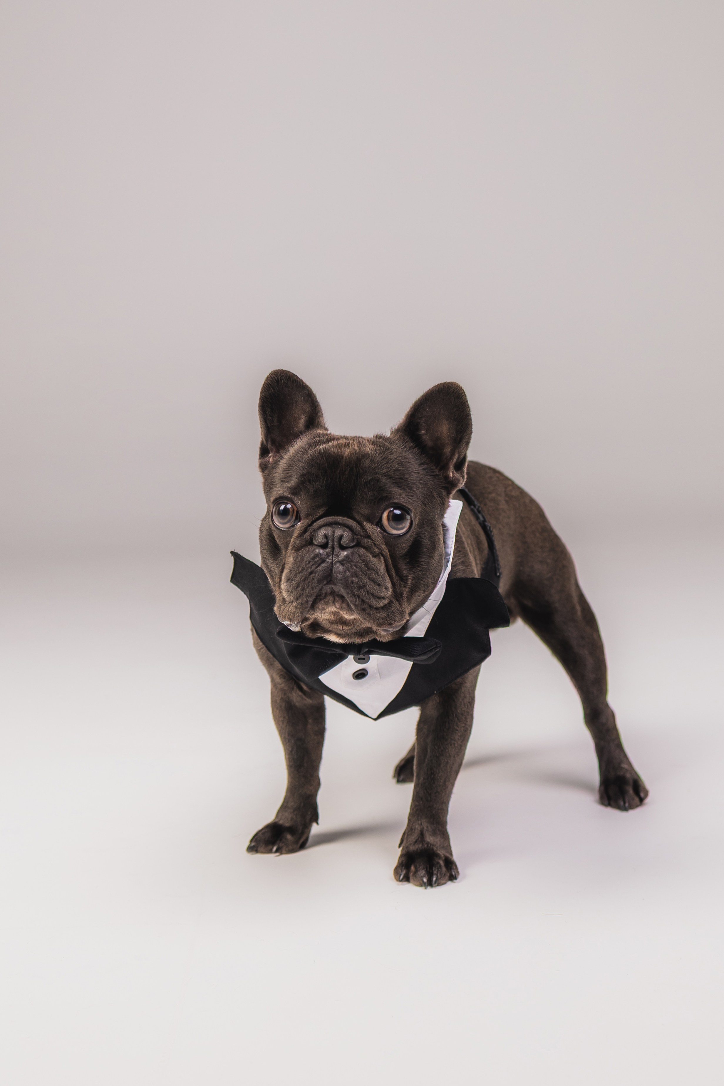 Кристина и Счастье